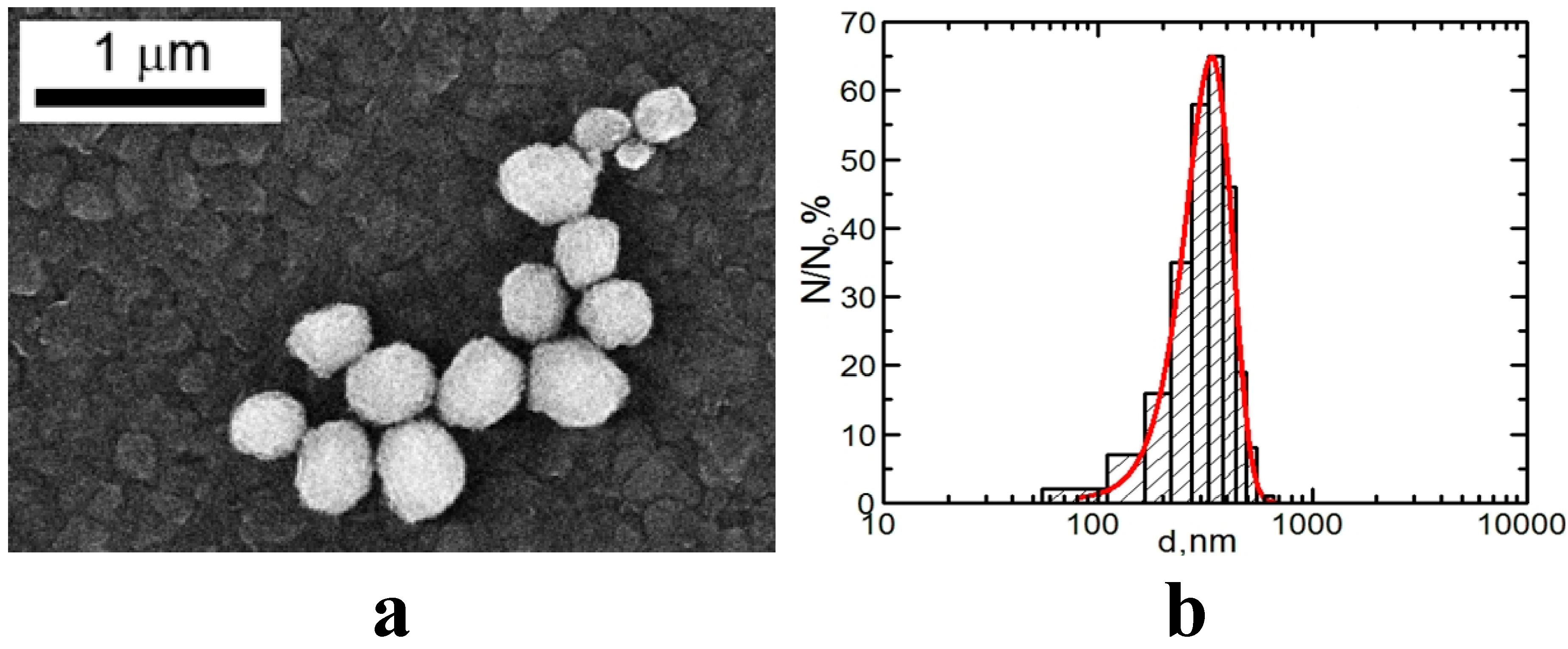 Ijms 15 21538 g005 1024