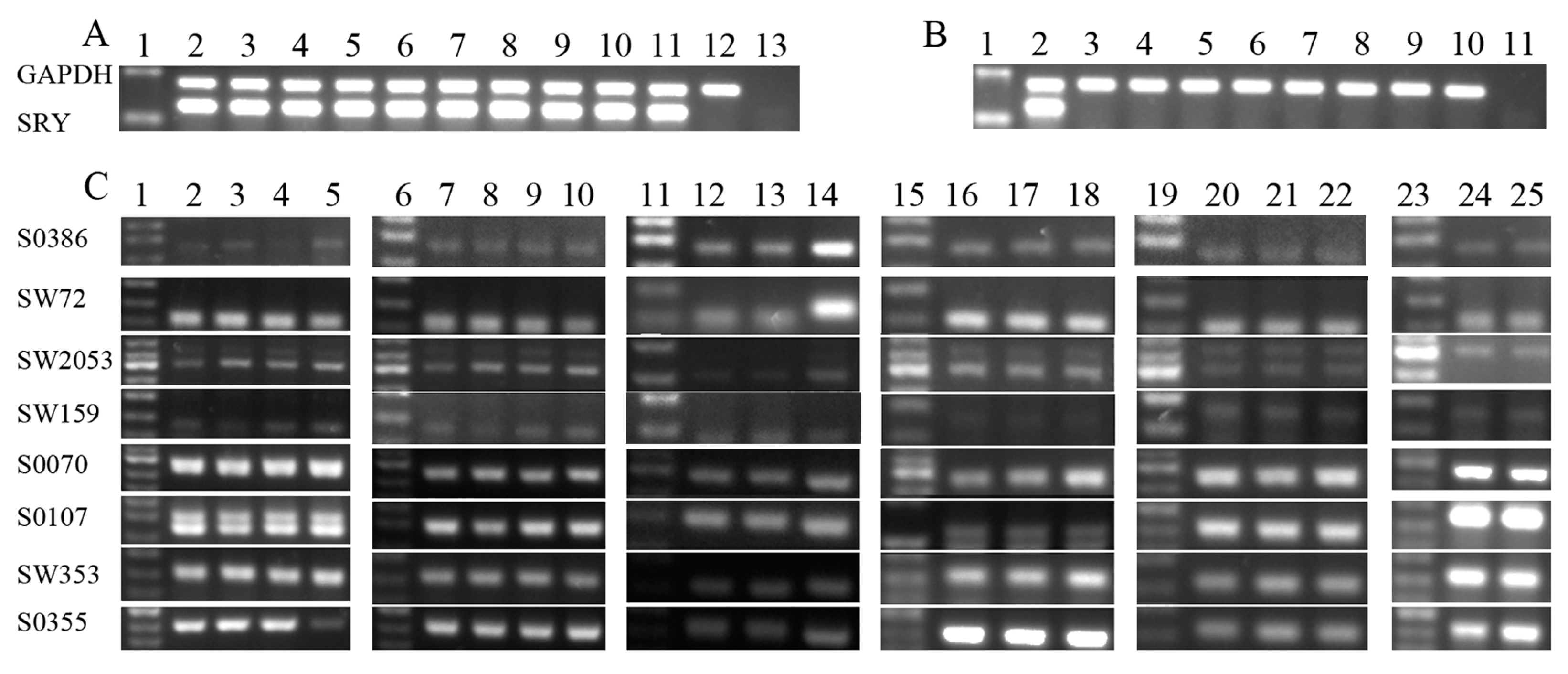 Ijms 15 21631 g001 1024