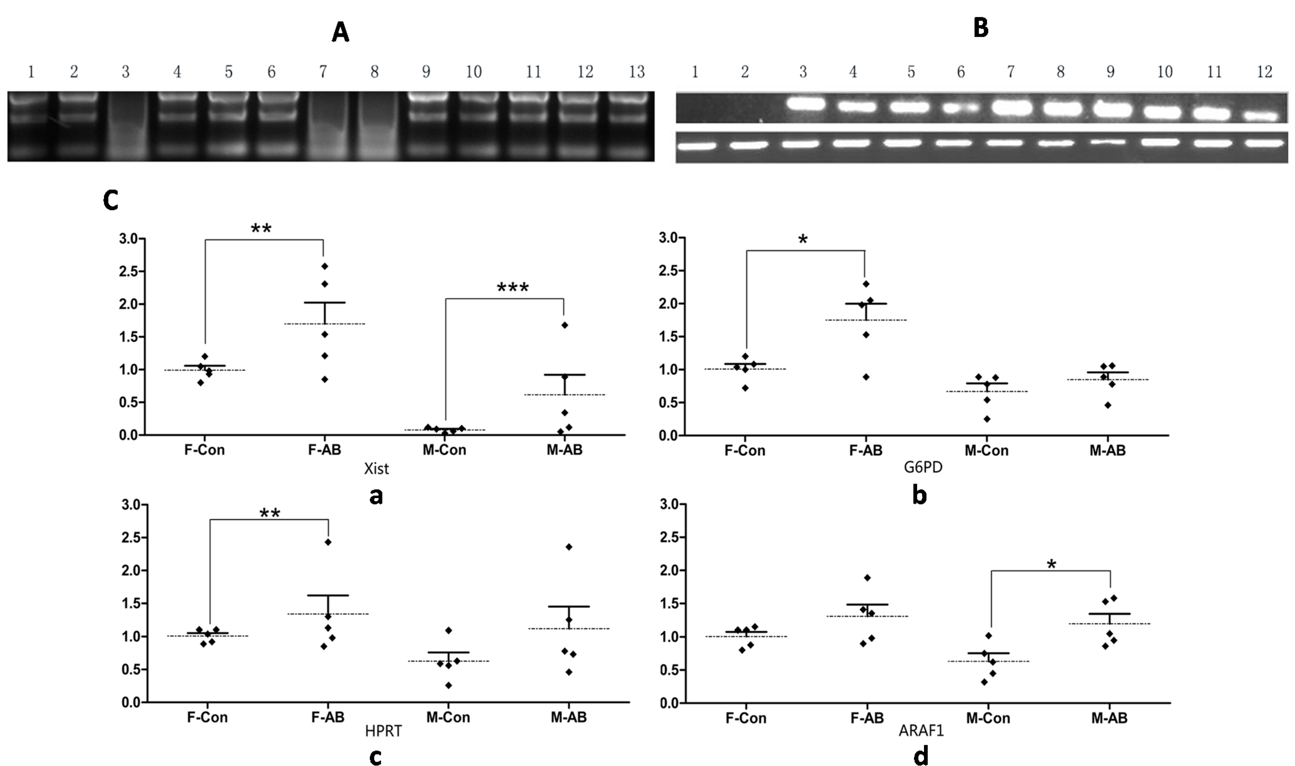 Ijms 15 21631 g002 1024