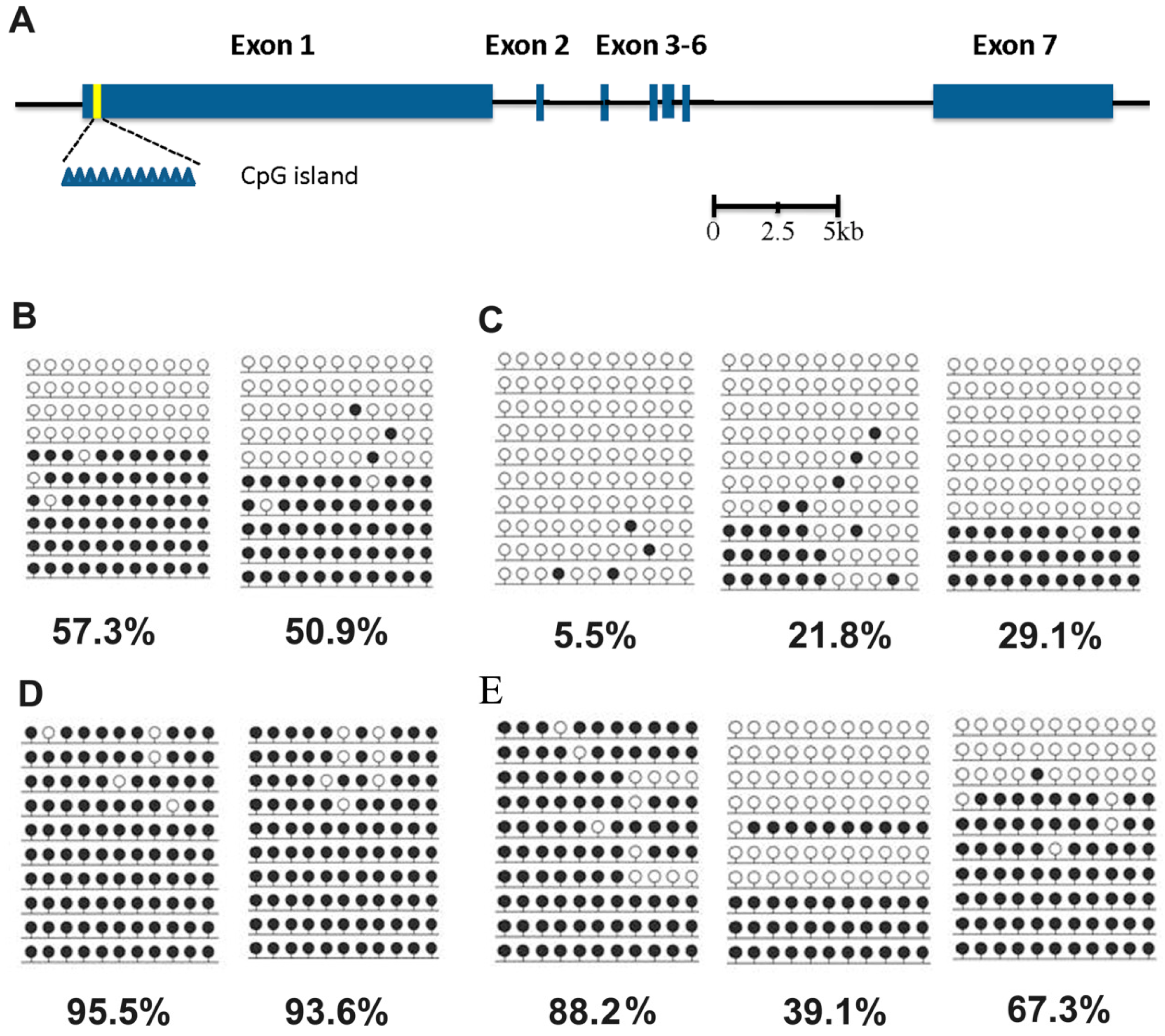 Ijms 15 21631 g003 1024