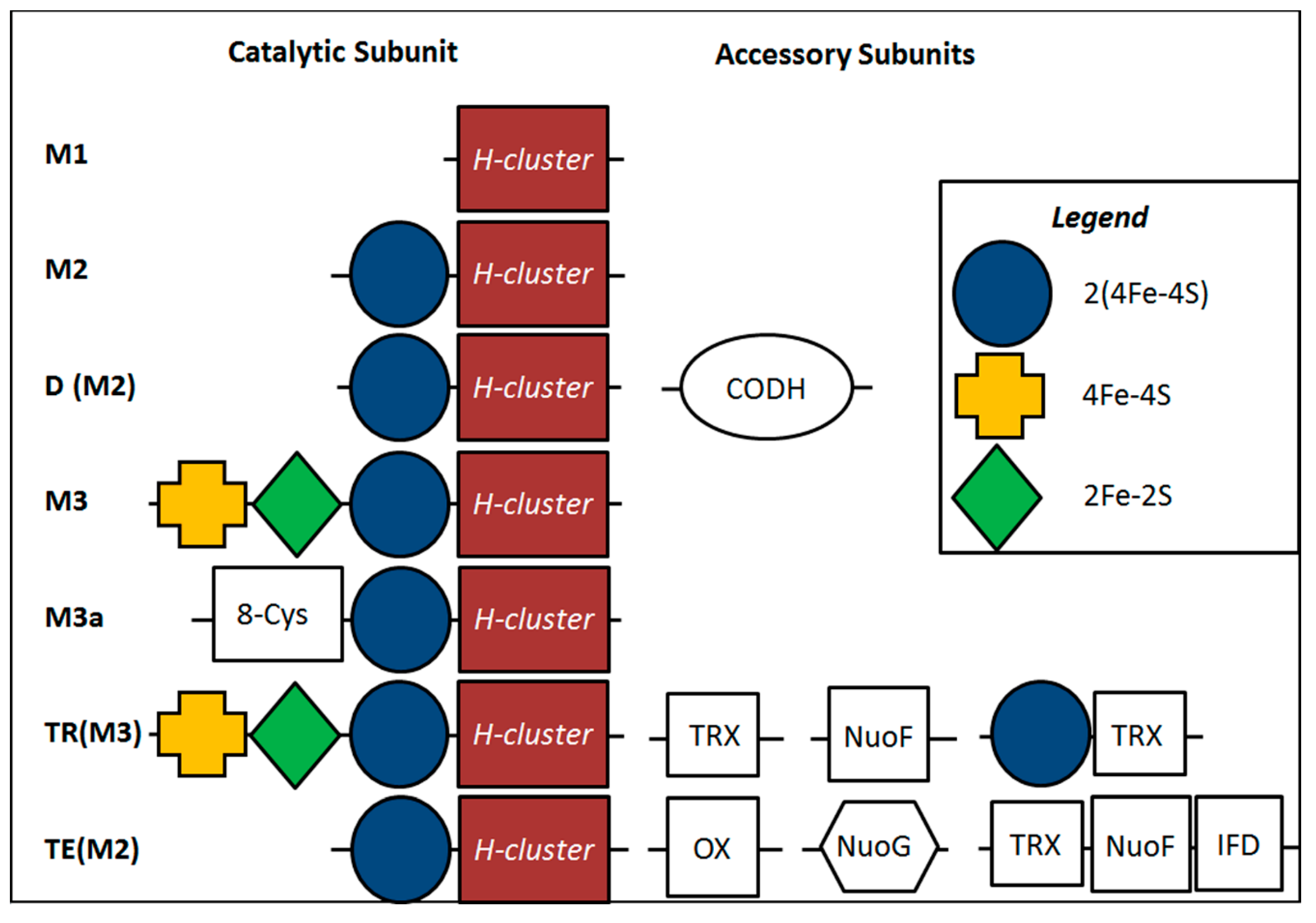 Ijms 15 21947 g004 1024