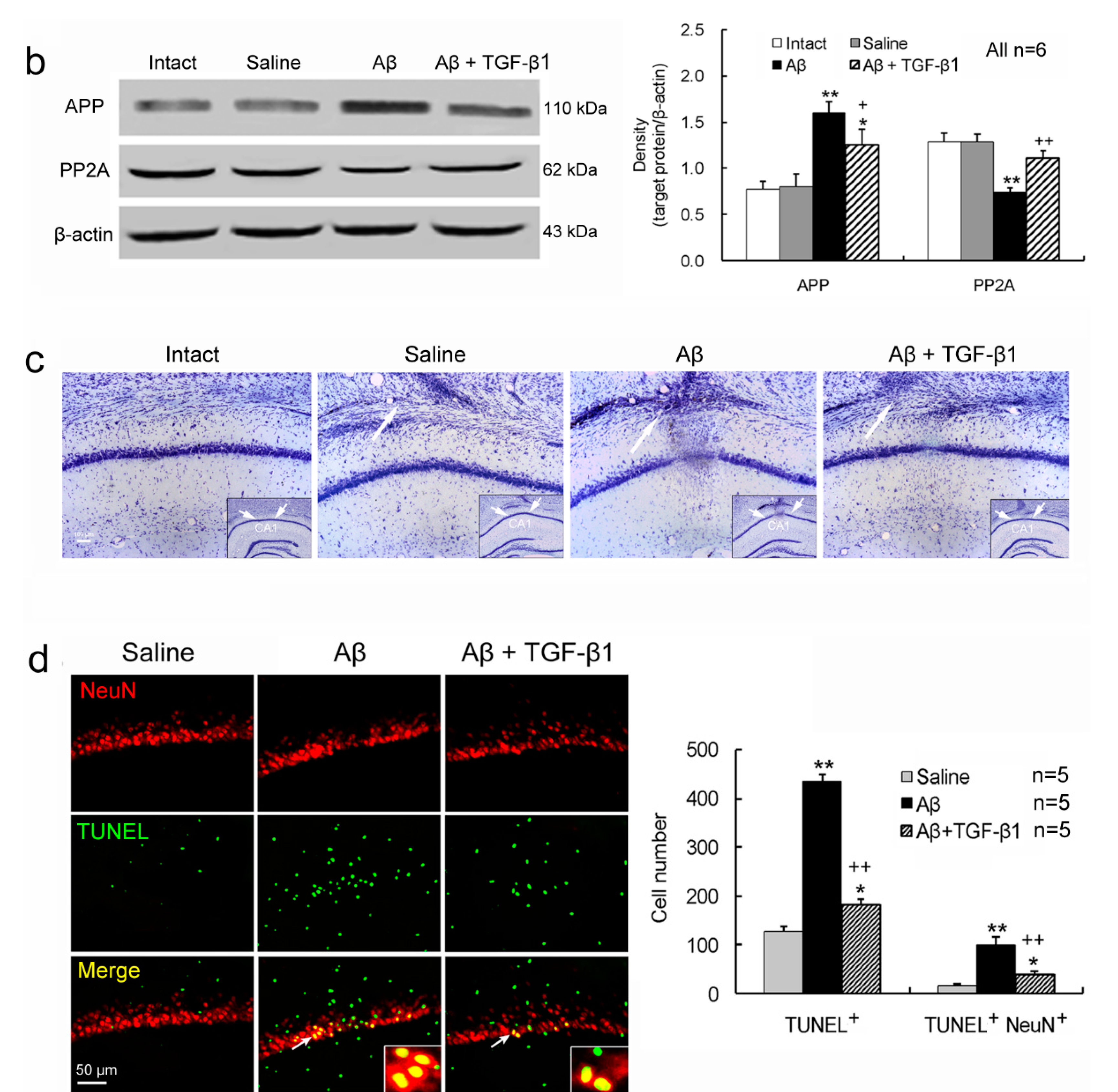 Ijms 15 22092 g001b 1024