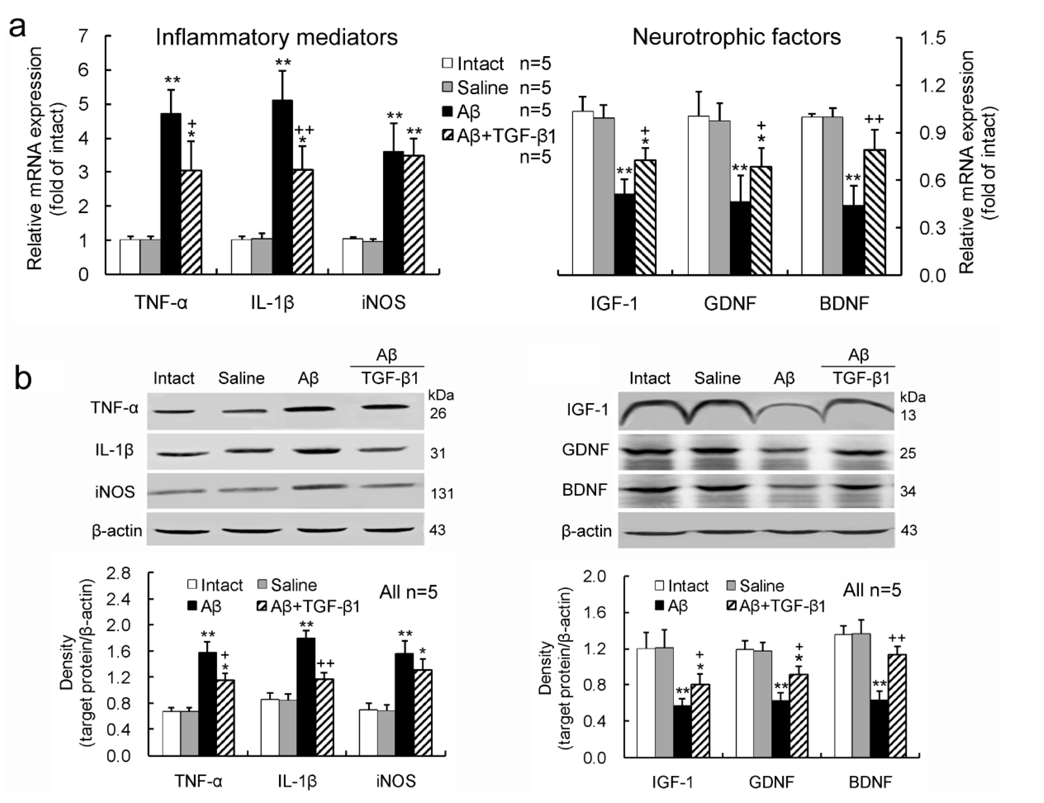 Ijms 15 22092 g002 1024