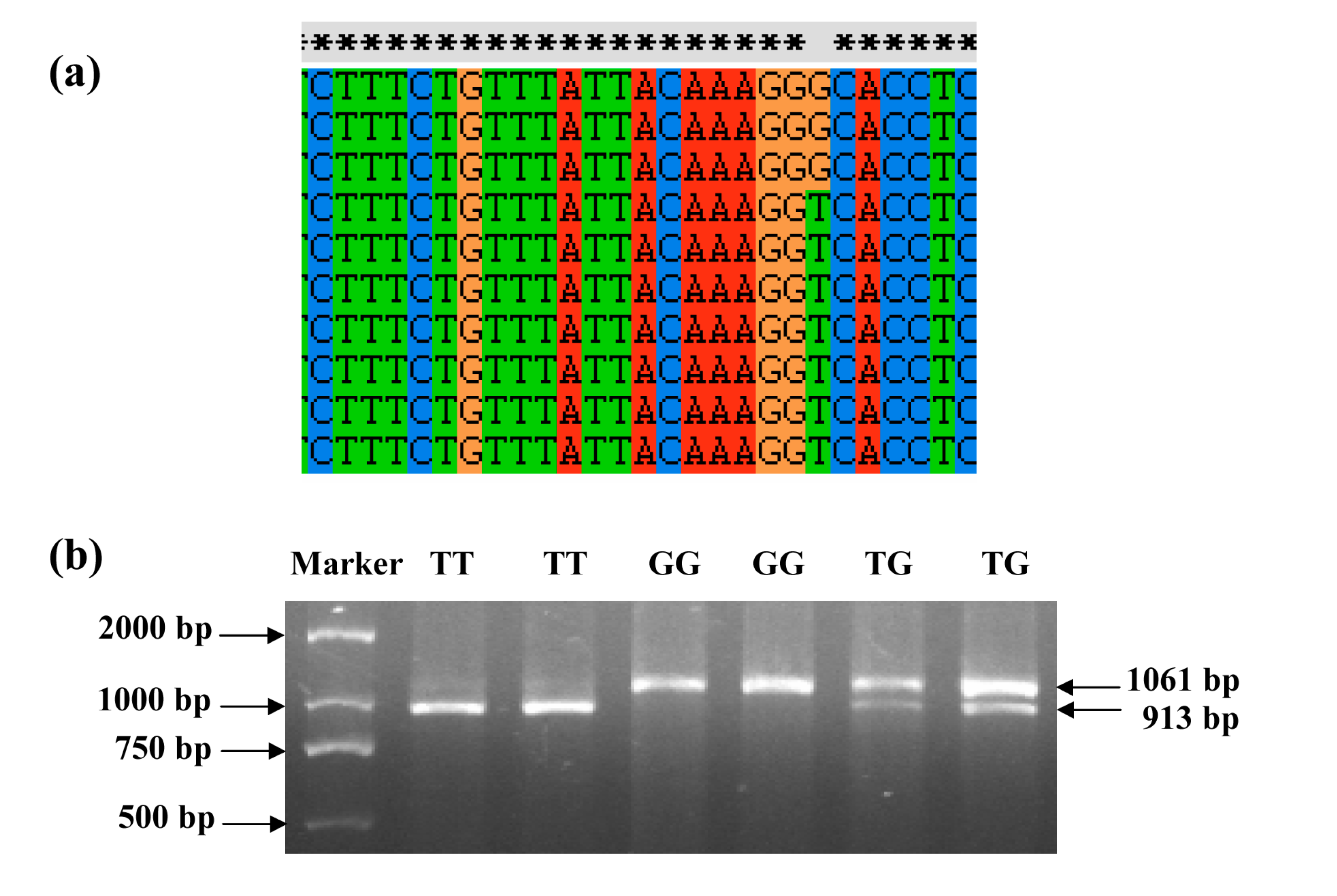 Ijms 15 22471 g001 1024