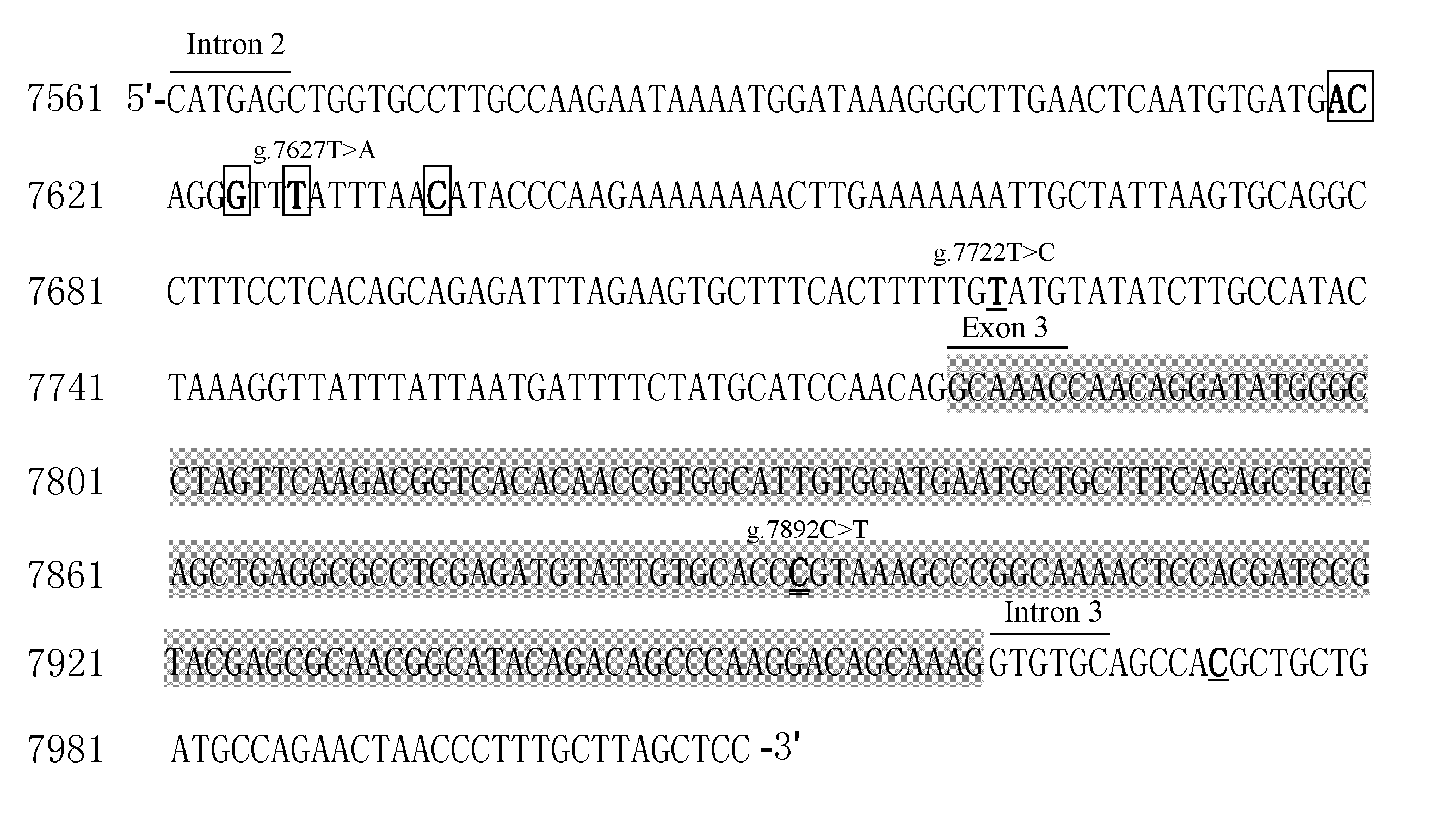 Ijms 15 22471 g002 1024