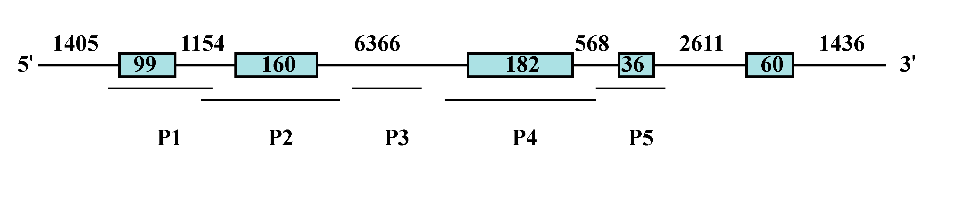 Ijms 15 22471 g003 1024