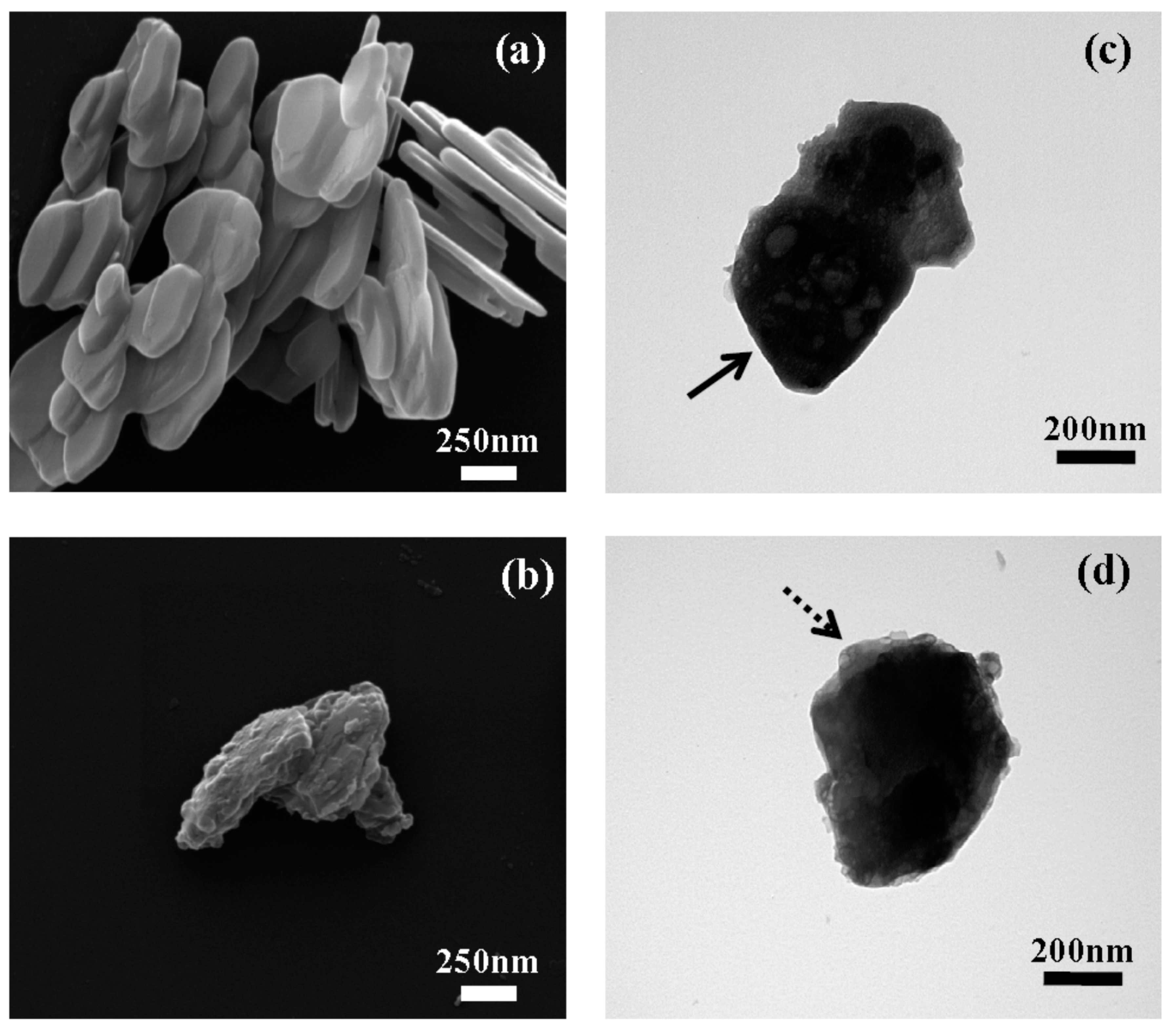 Ijms 15 22563 g003 1024