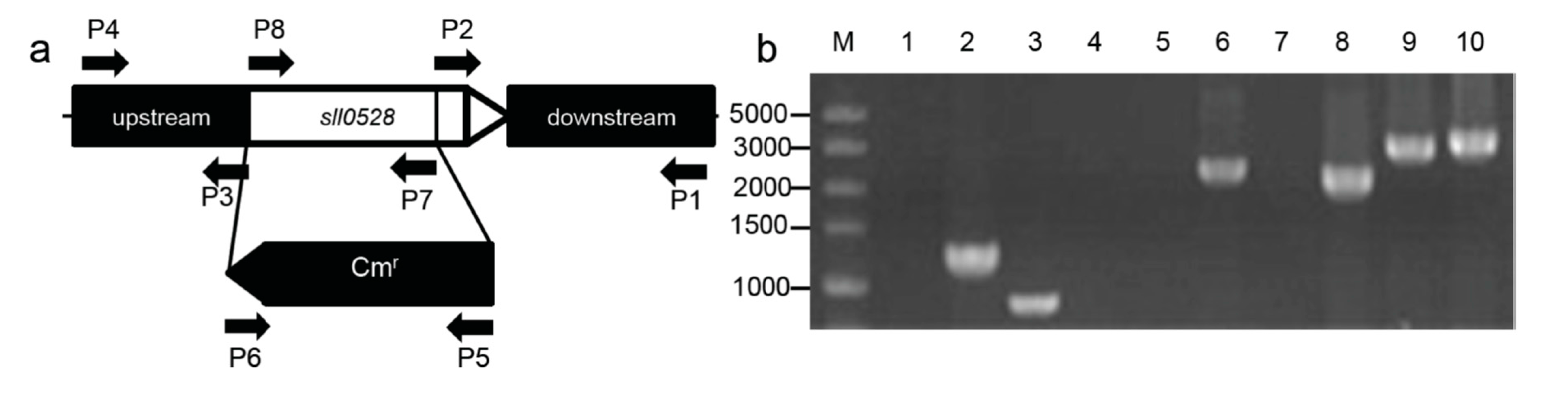 Ijms 15 22678 g002