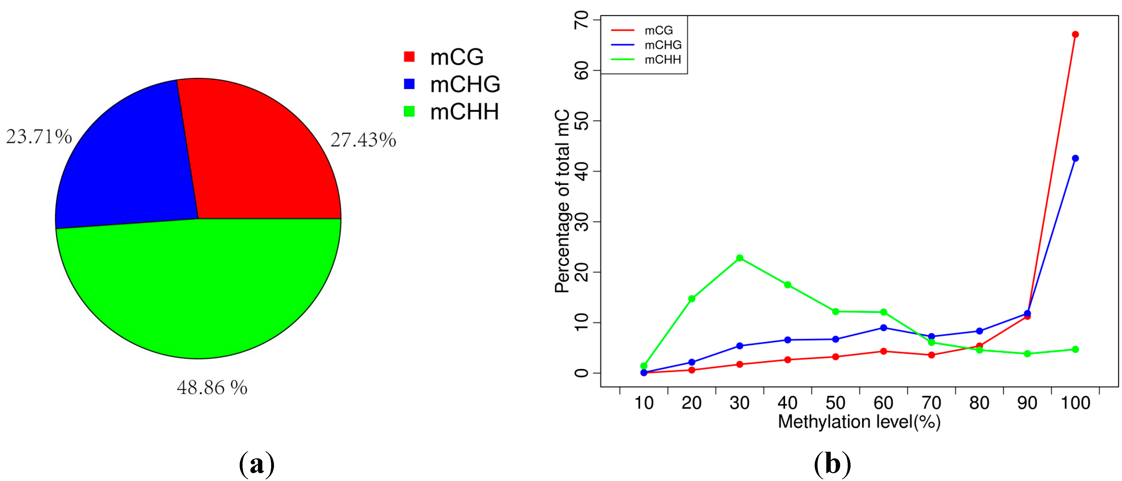 Ijms 15 22874 g001 1024