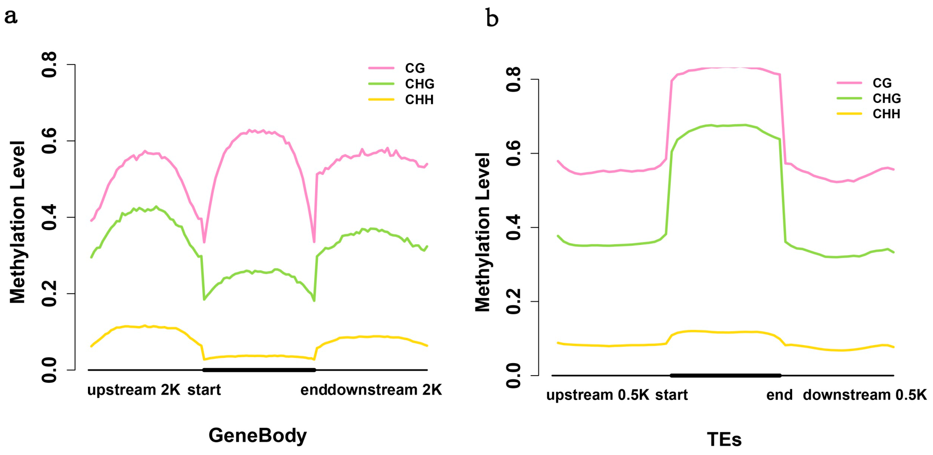 Ijms 15 22874 g003 1024