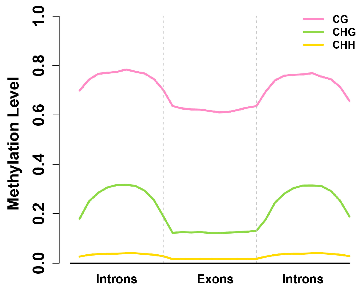 Ijms 15 22874 g005 1024