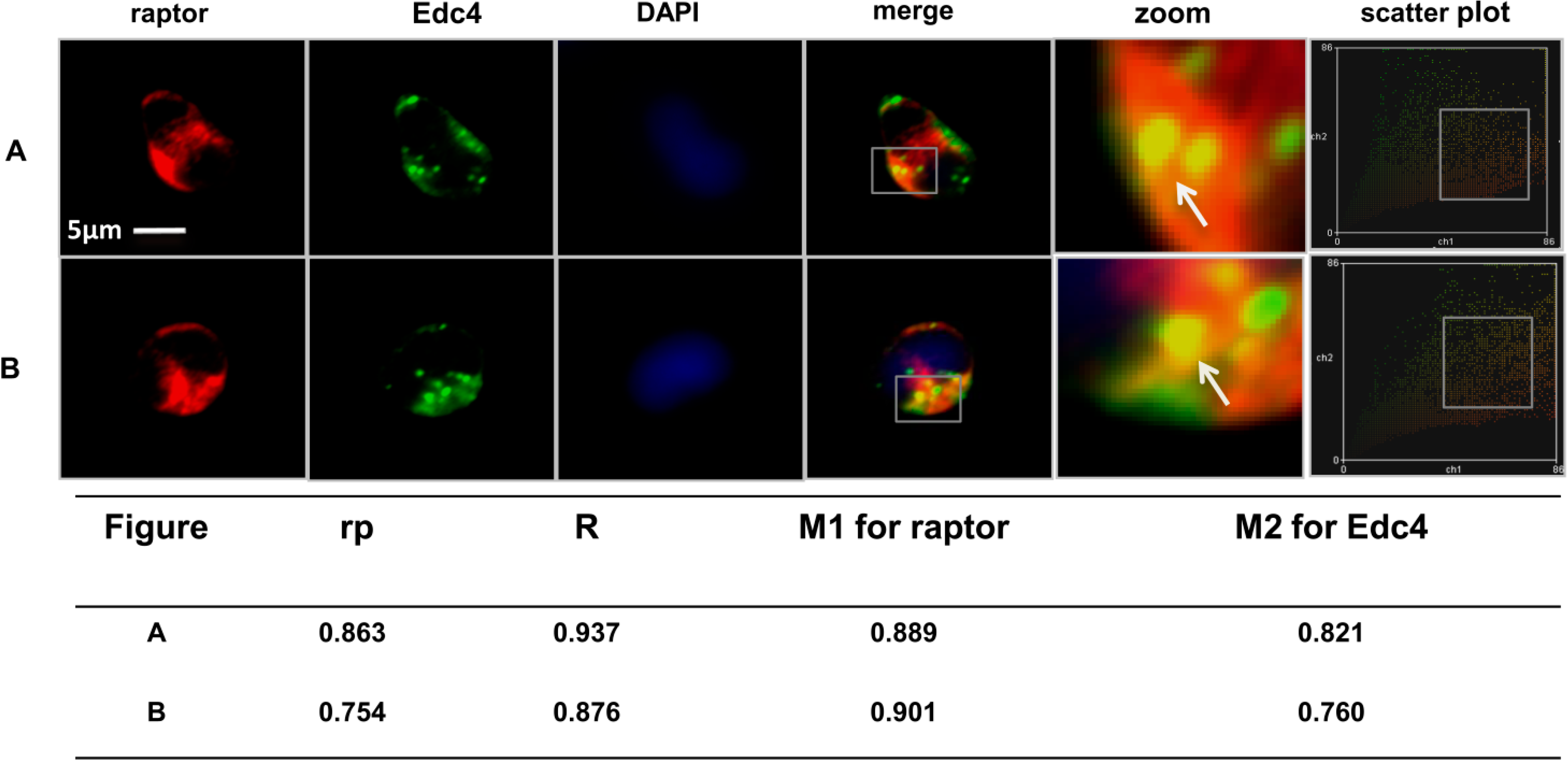 Ijms 15 23179 g003 1024