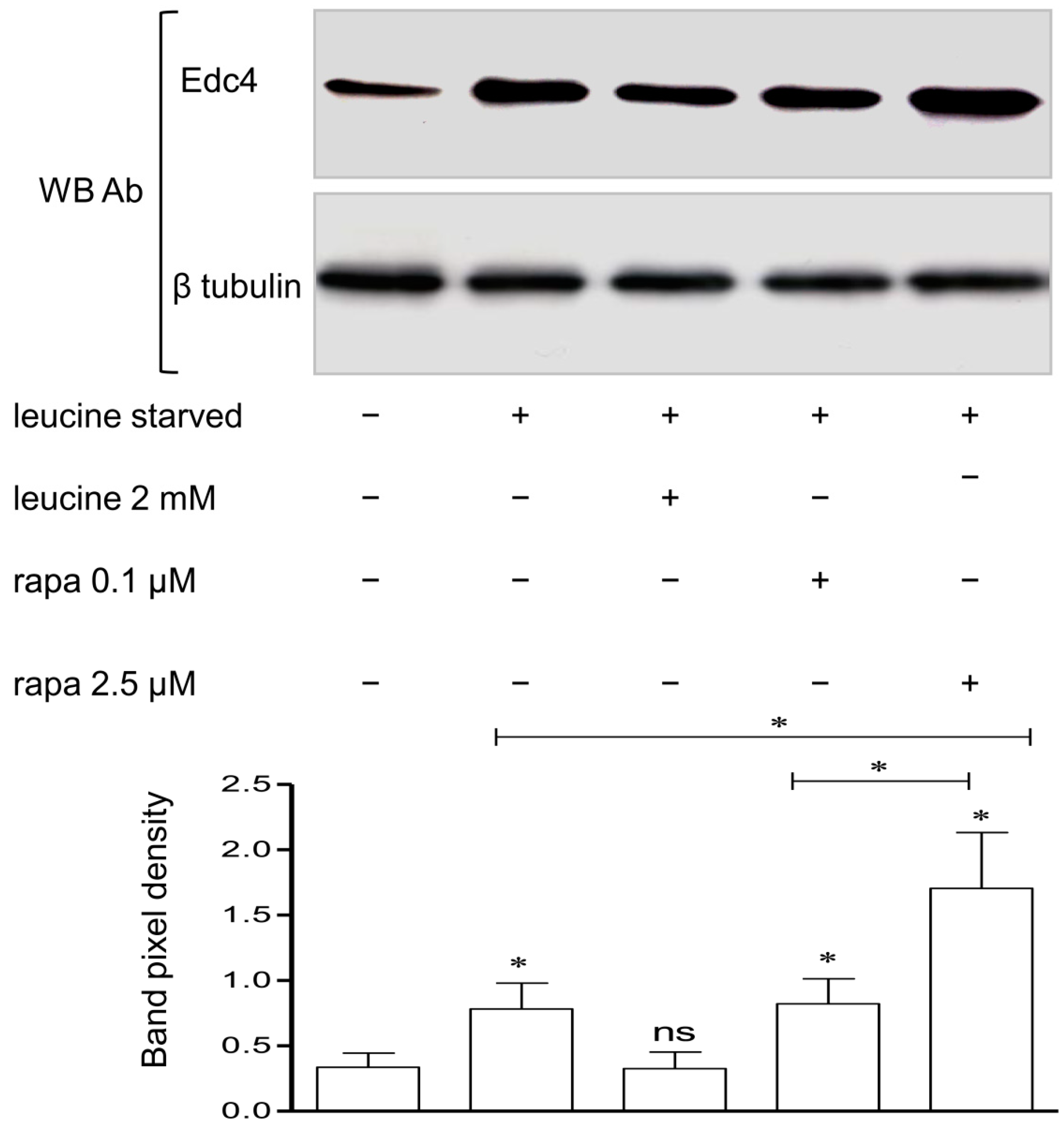 Ijms 15 23179 g004 1024