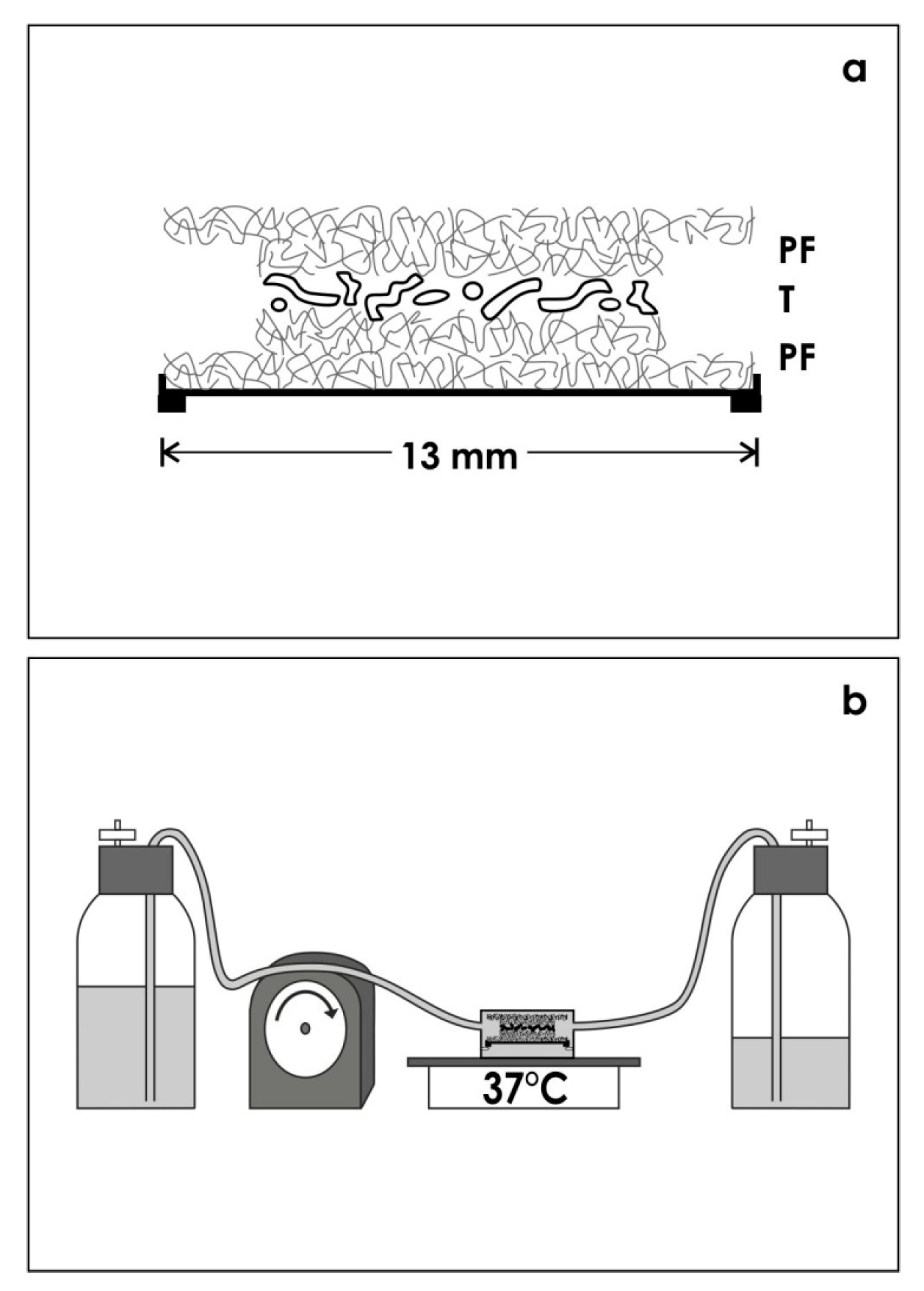 Ijms 15 23240 g007 1024