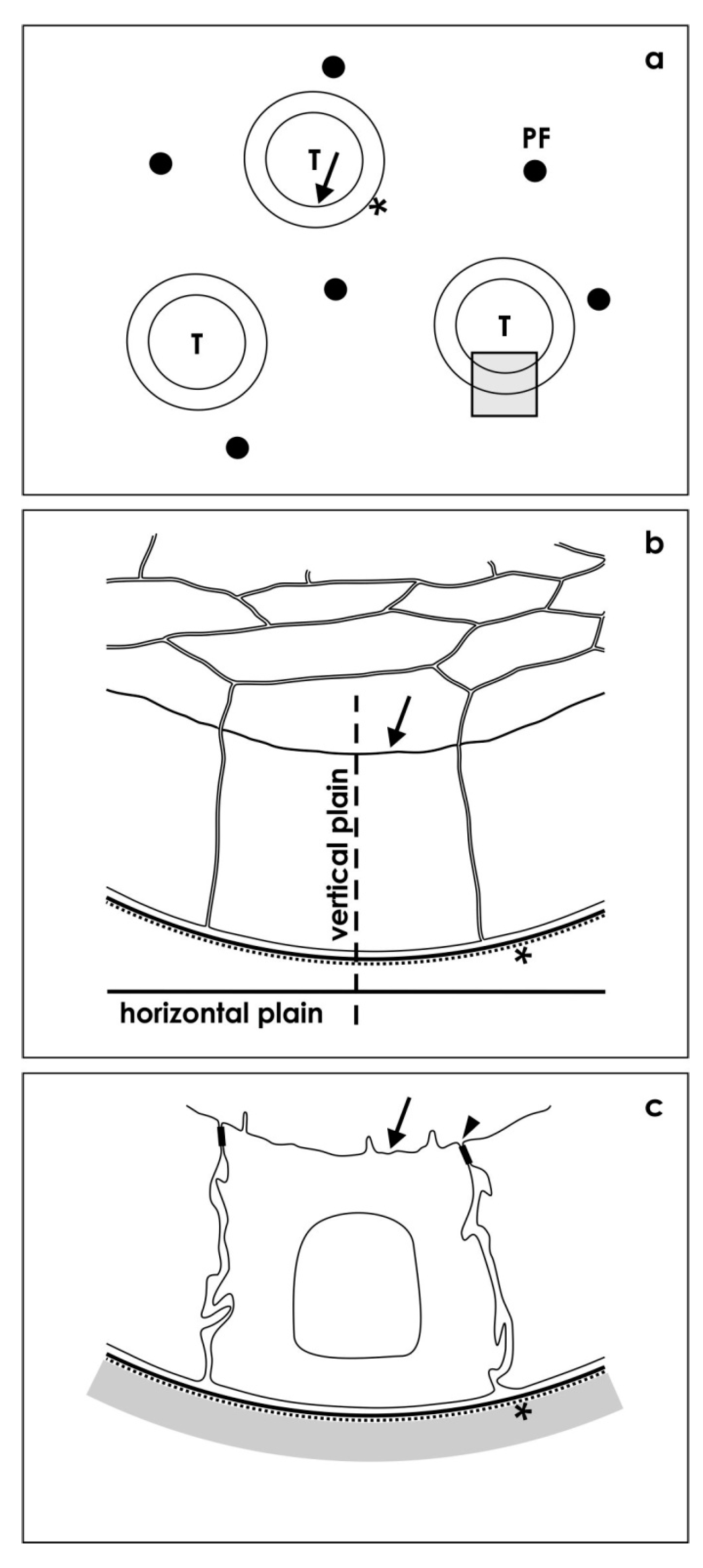 Ijms 15 23240 g008 1024