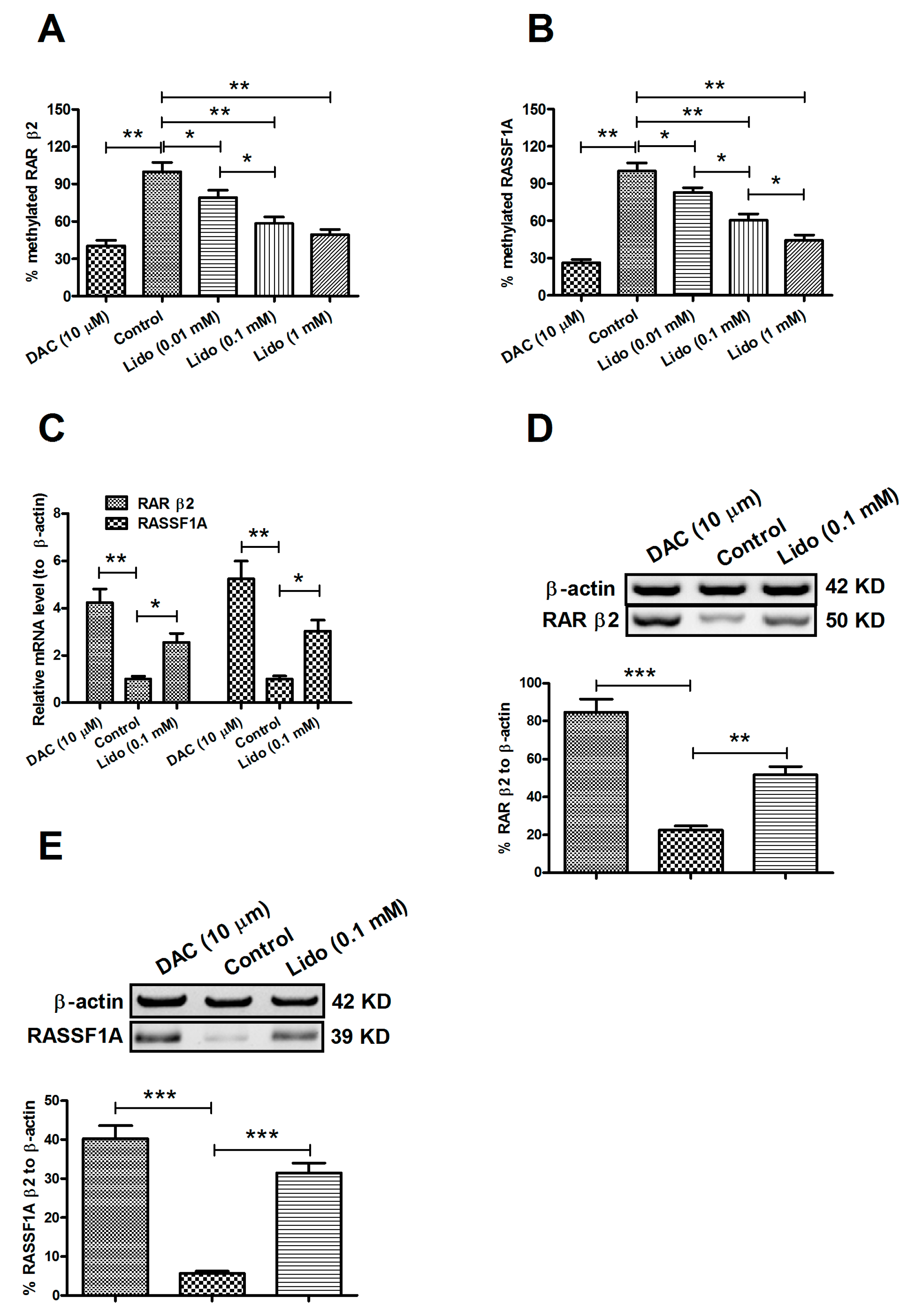 Ijms 15 23519 g002 1024