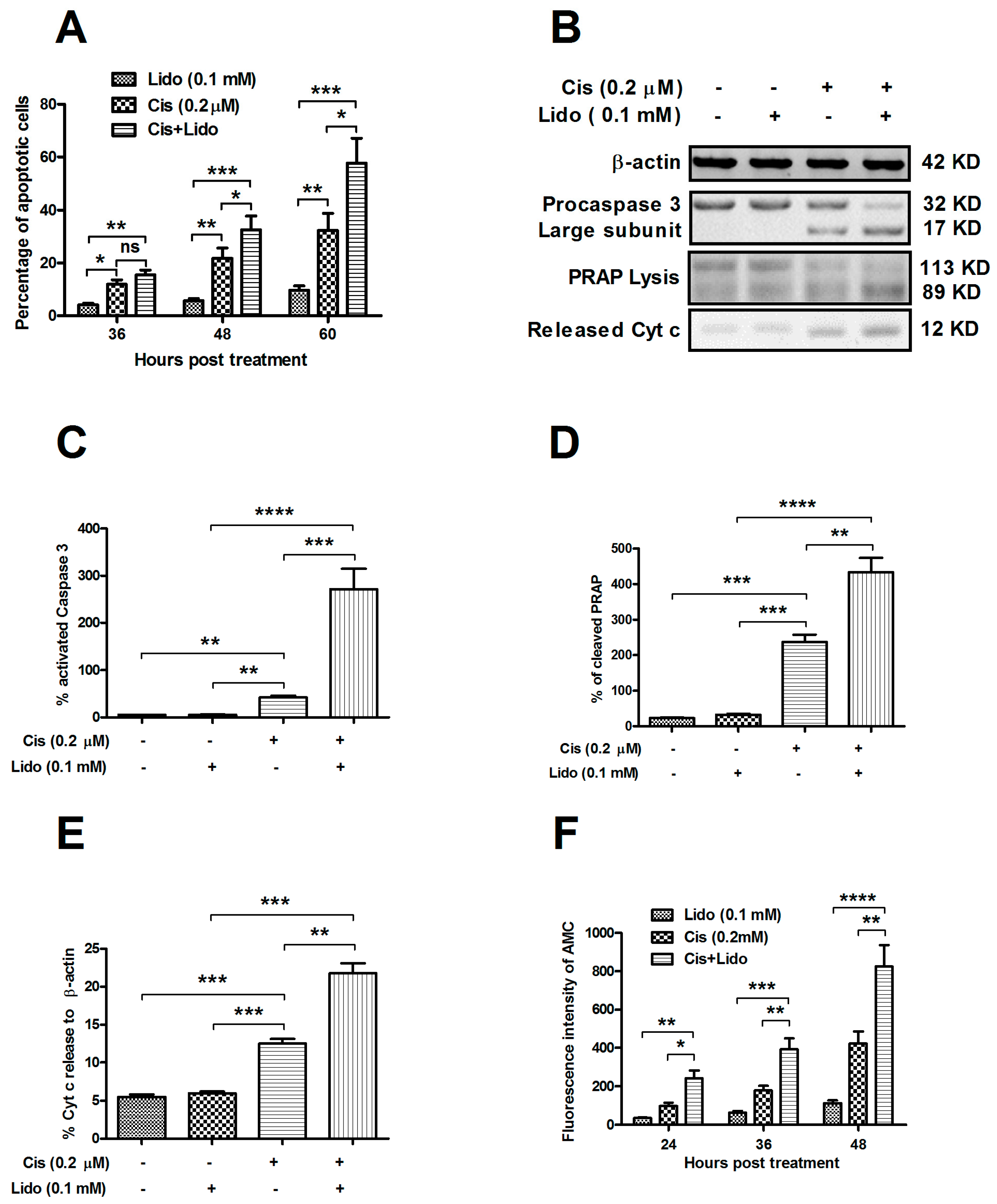 Ijms 15 23519 g005 1024