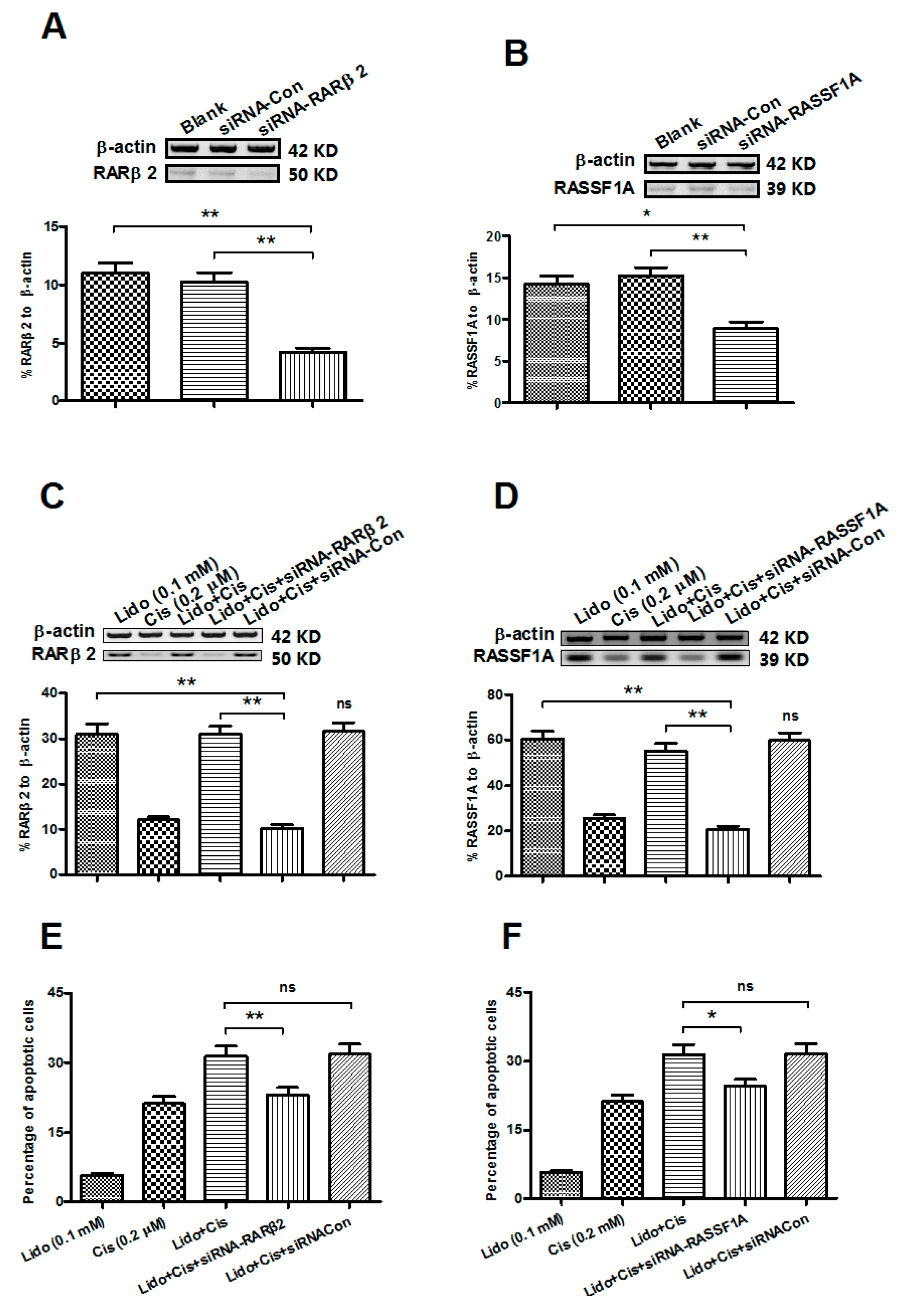 Ijms 15 23519 g006 1024