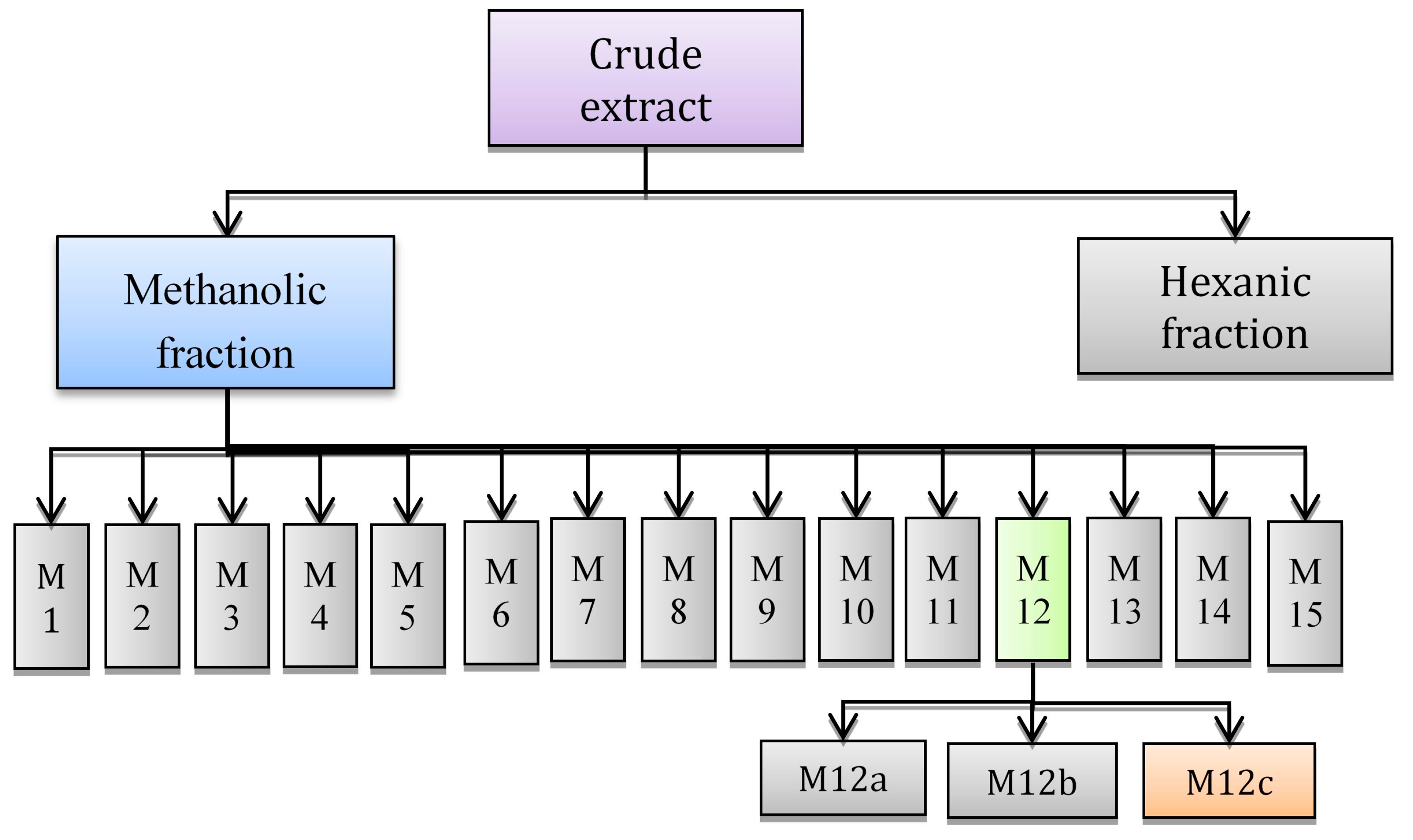 Ijms 15 23555 g009 1024