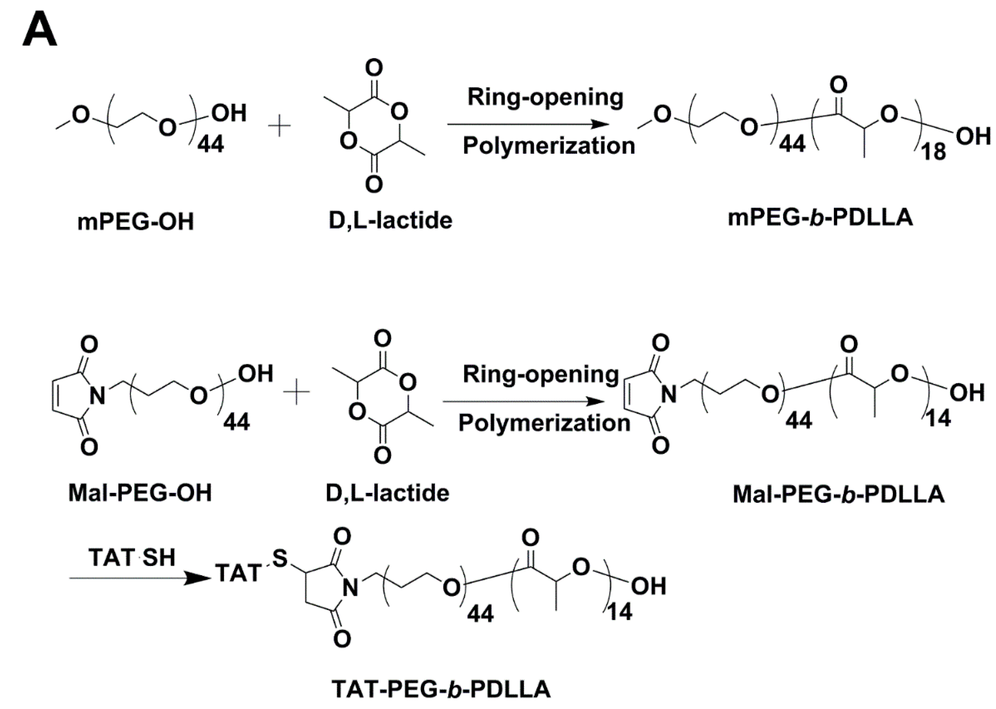 Ijms 15 23571 g001a 1024