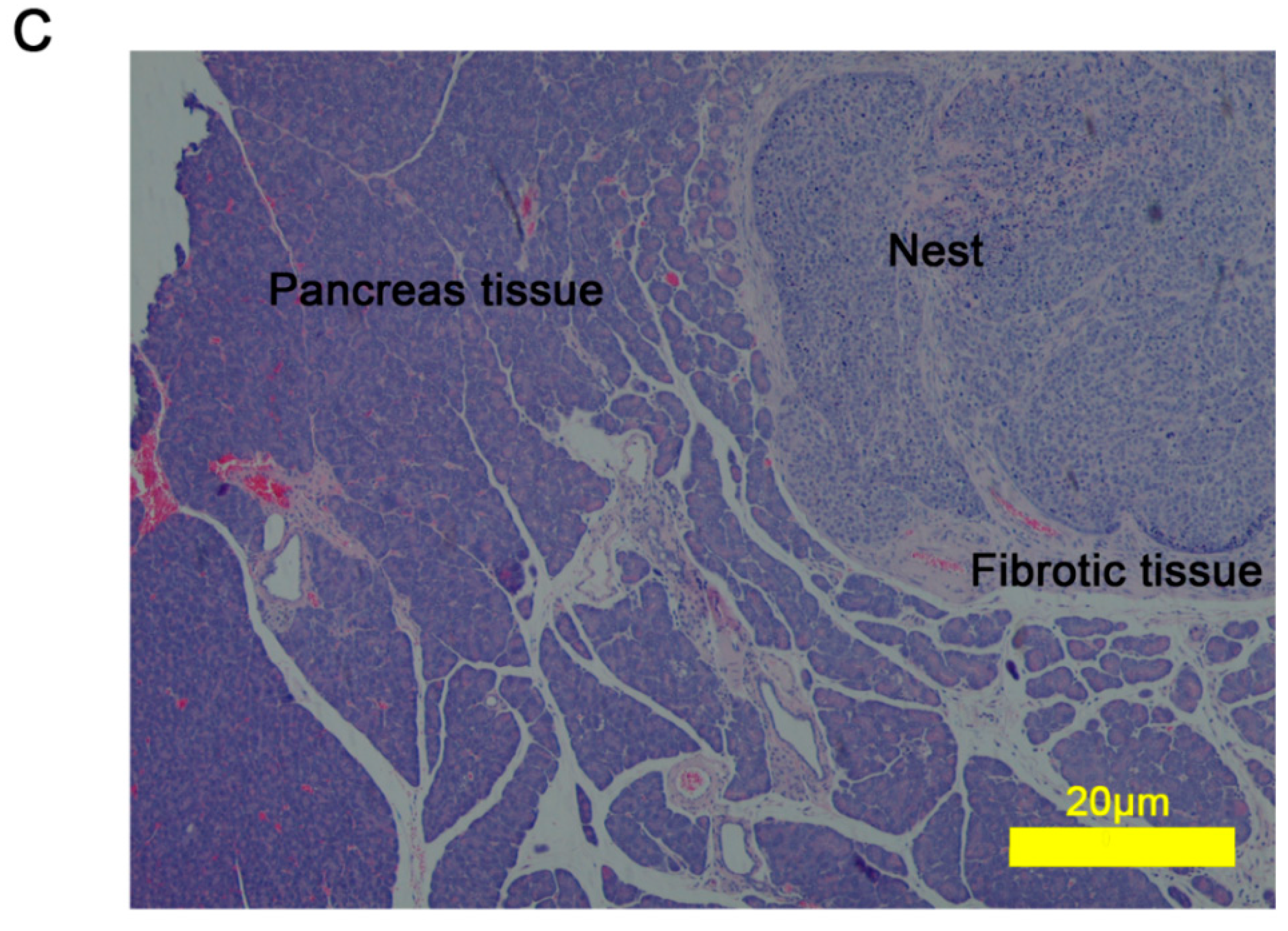 Ijms 15 23571 g003b 1024