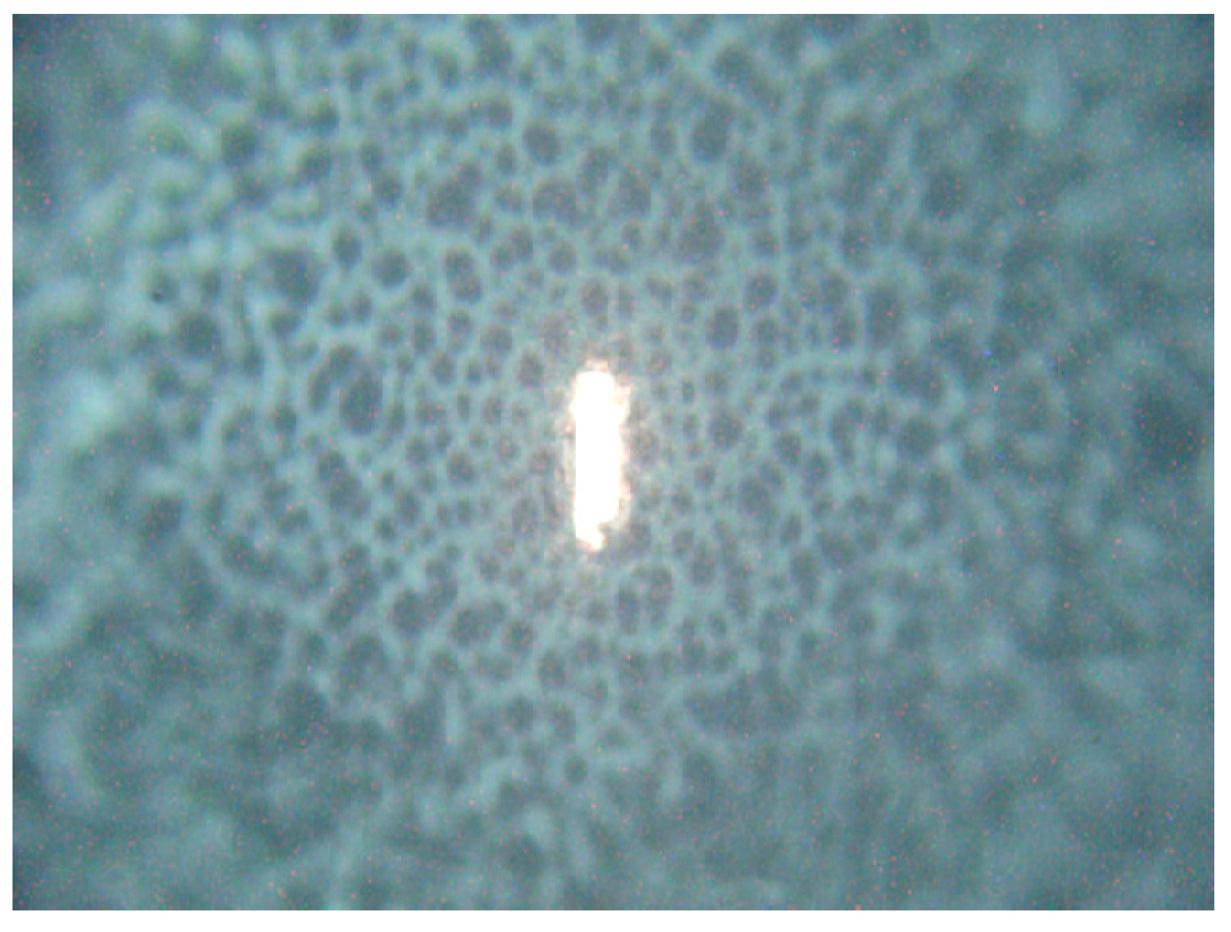 Ijms 15 23924 g008 1024