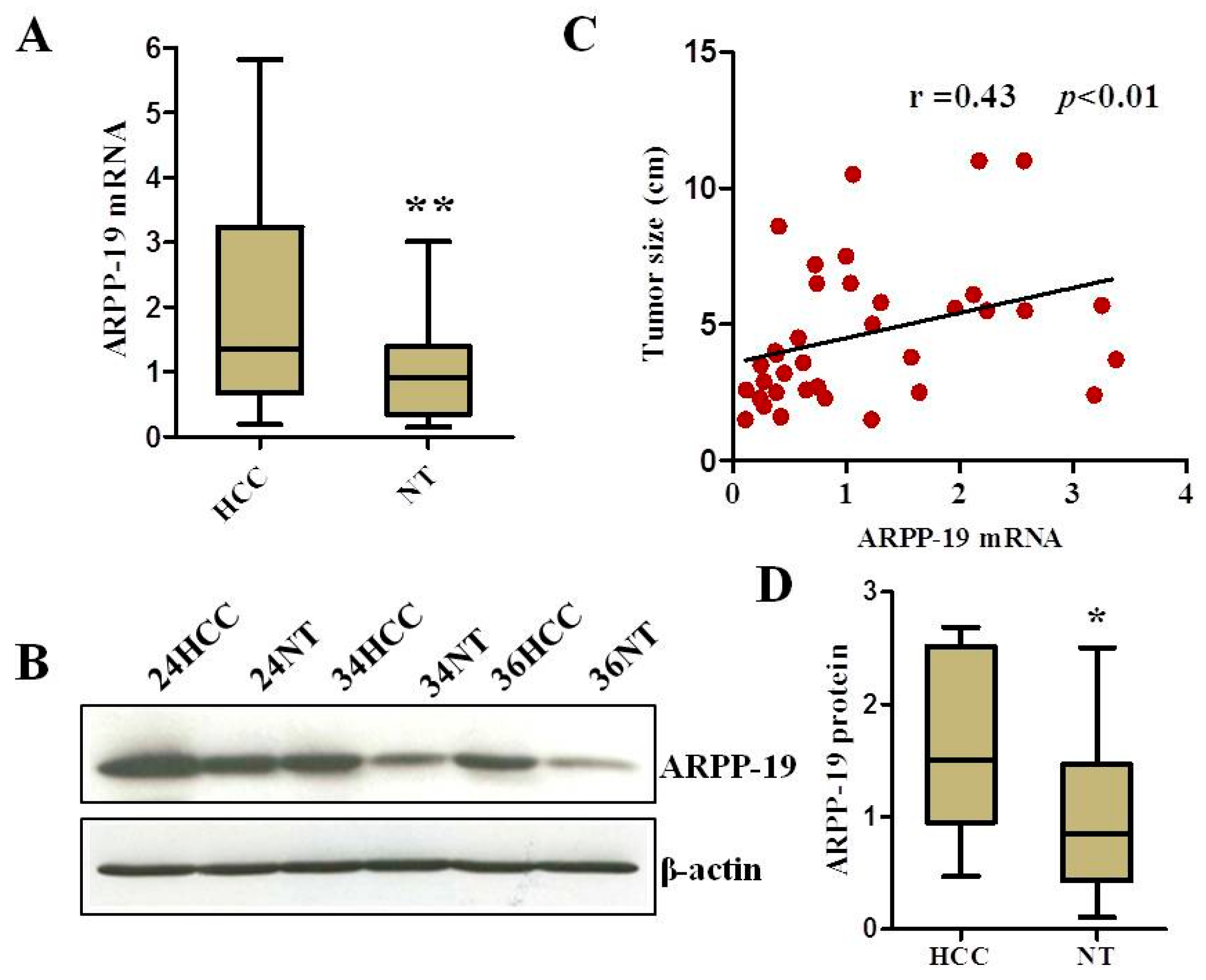 Ijms 16 00178 g002 1024