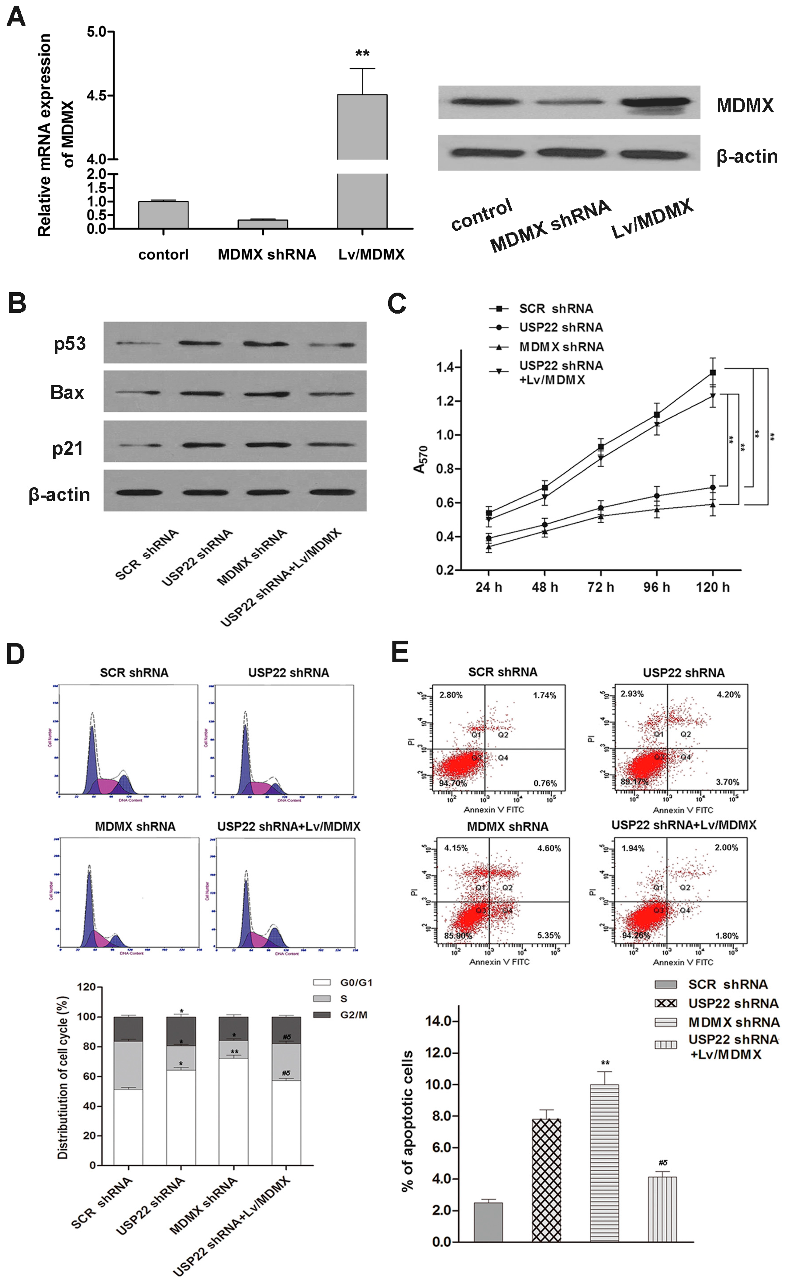 Ijms 16 00307 g005 1024