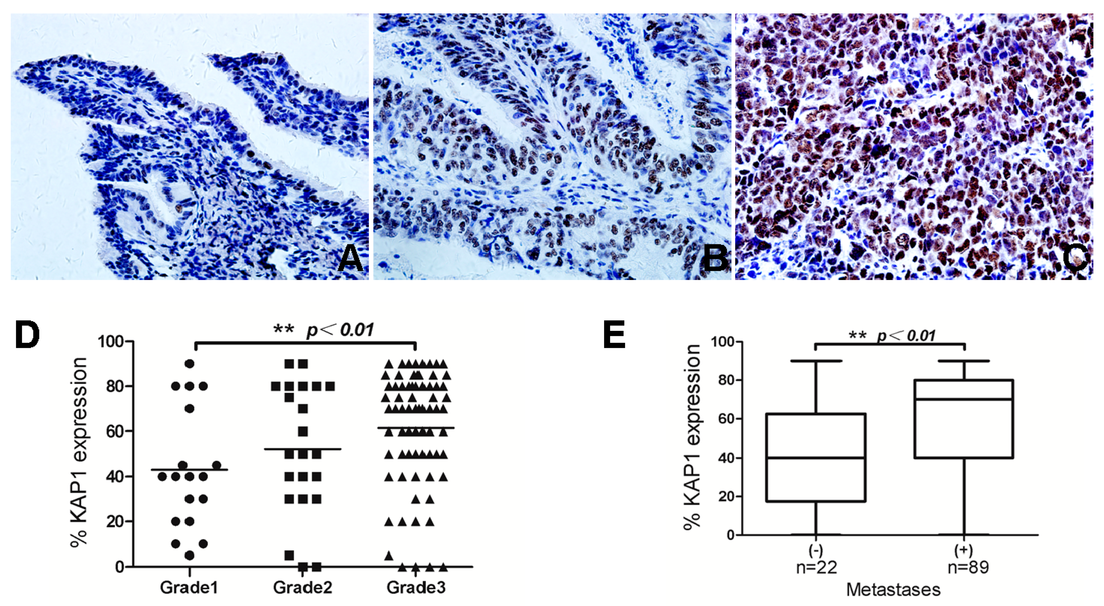 Ijms 16 00363 g003 1024