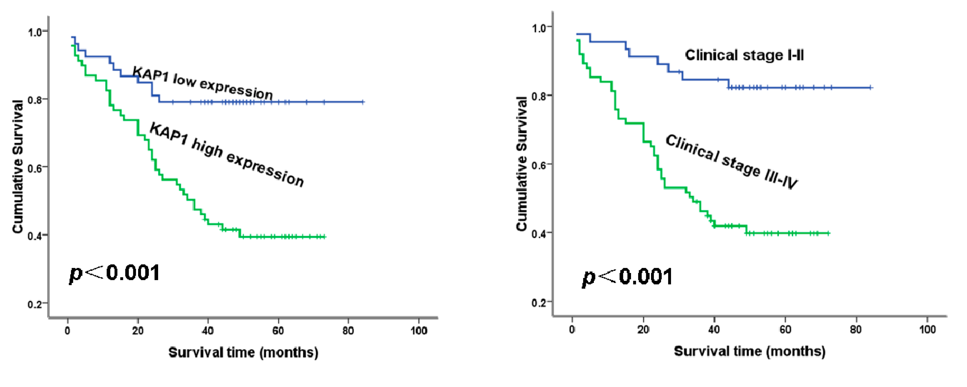 Ijms 16 00363 g004 1024