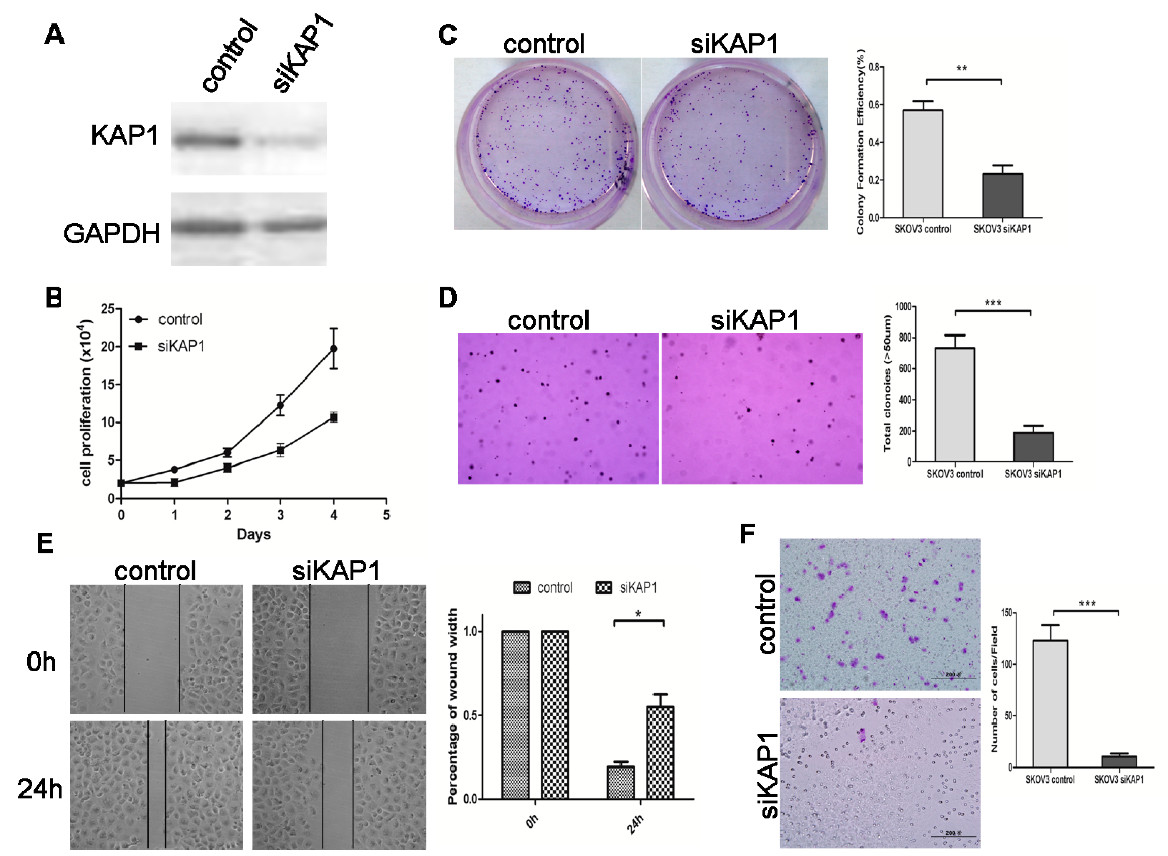 Ijms 16 00363 g005 1024