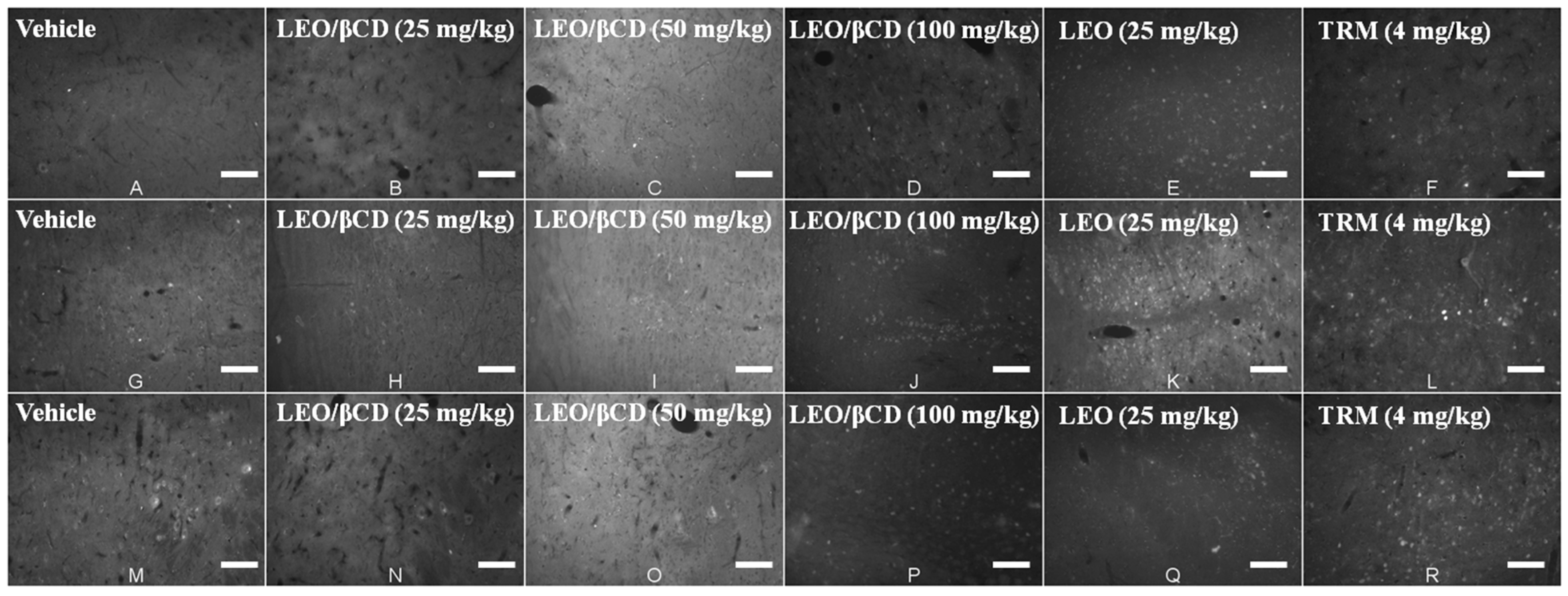 Ijms 16 00547 g007