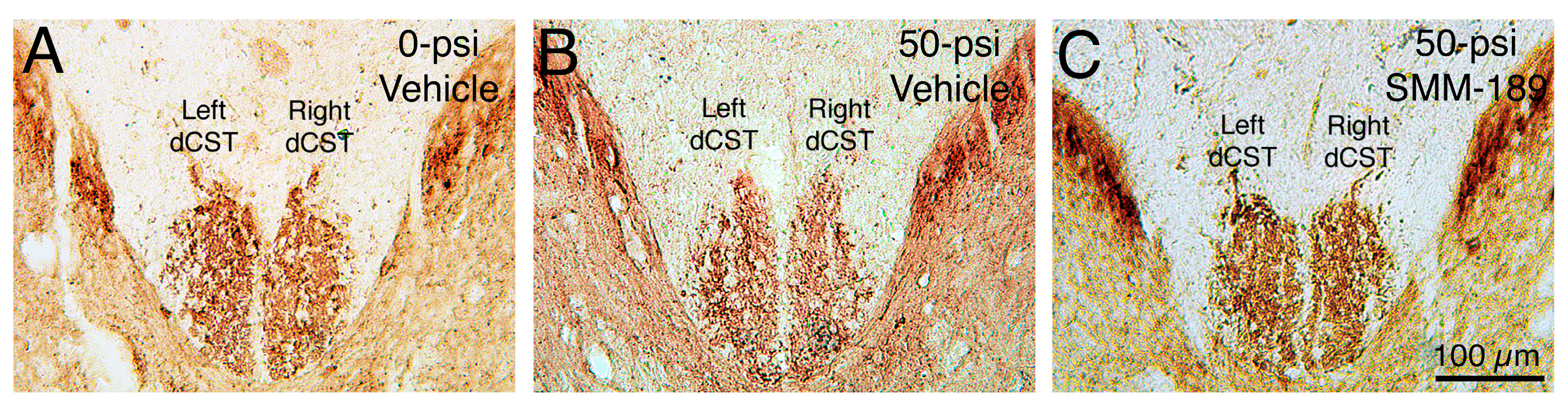 Ijms 16 00758 g008 1024