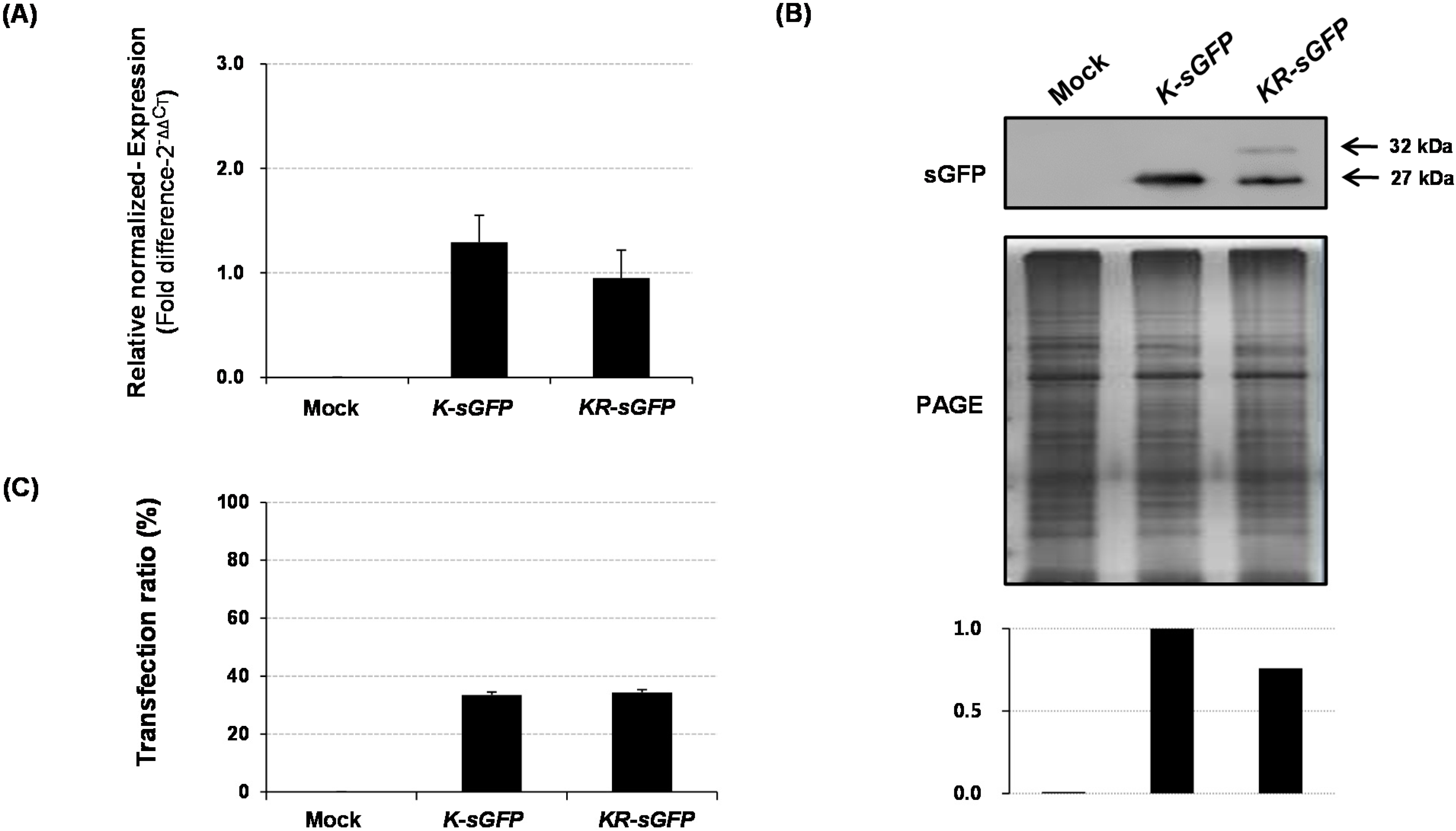 Ijms 16 00788 g004 1024