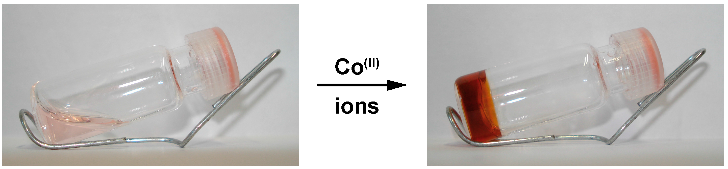 Ijms 16 00990 g005 1024