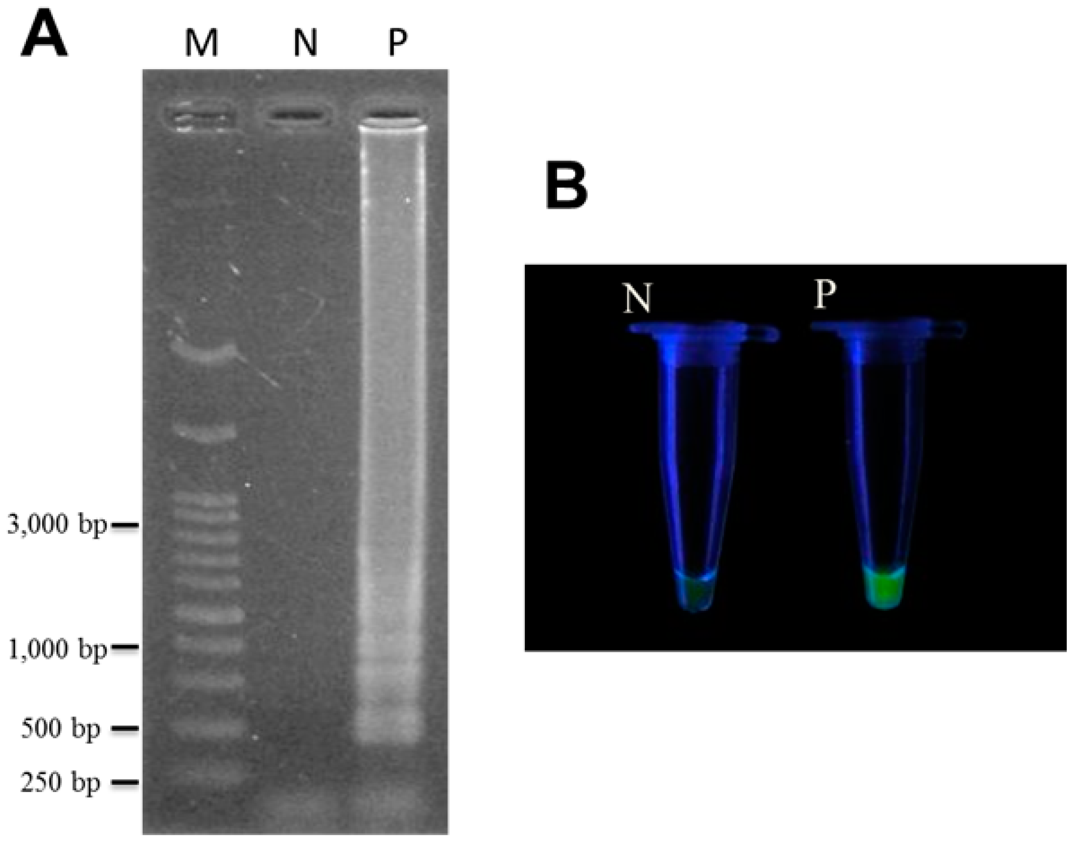 Ijms 16 01562 g002