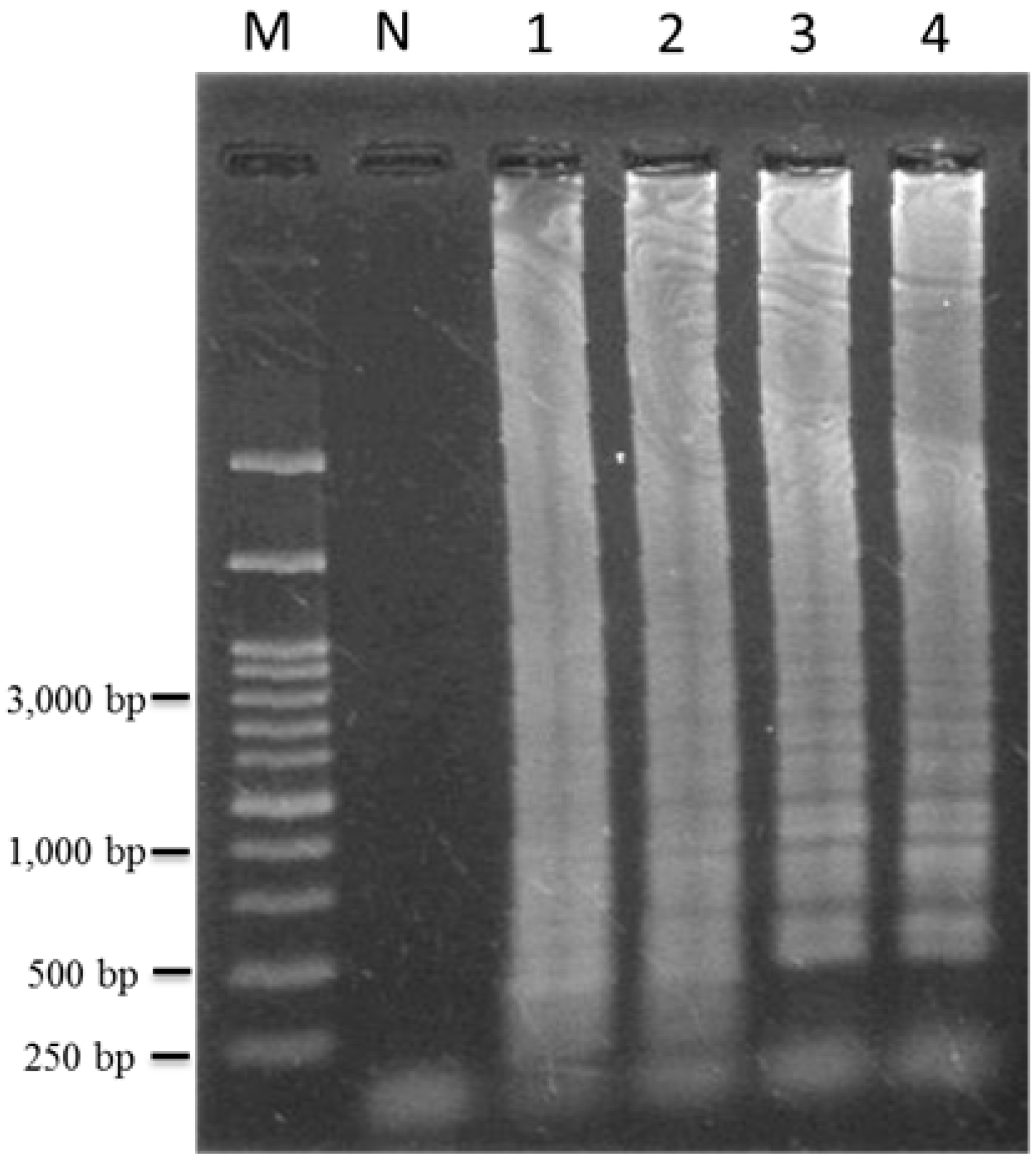 Ijms 16 01562 g005