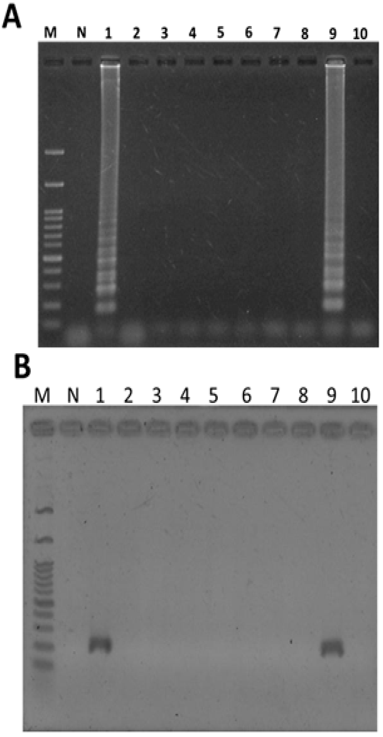 Ijms 16 01562 g006