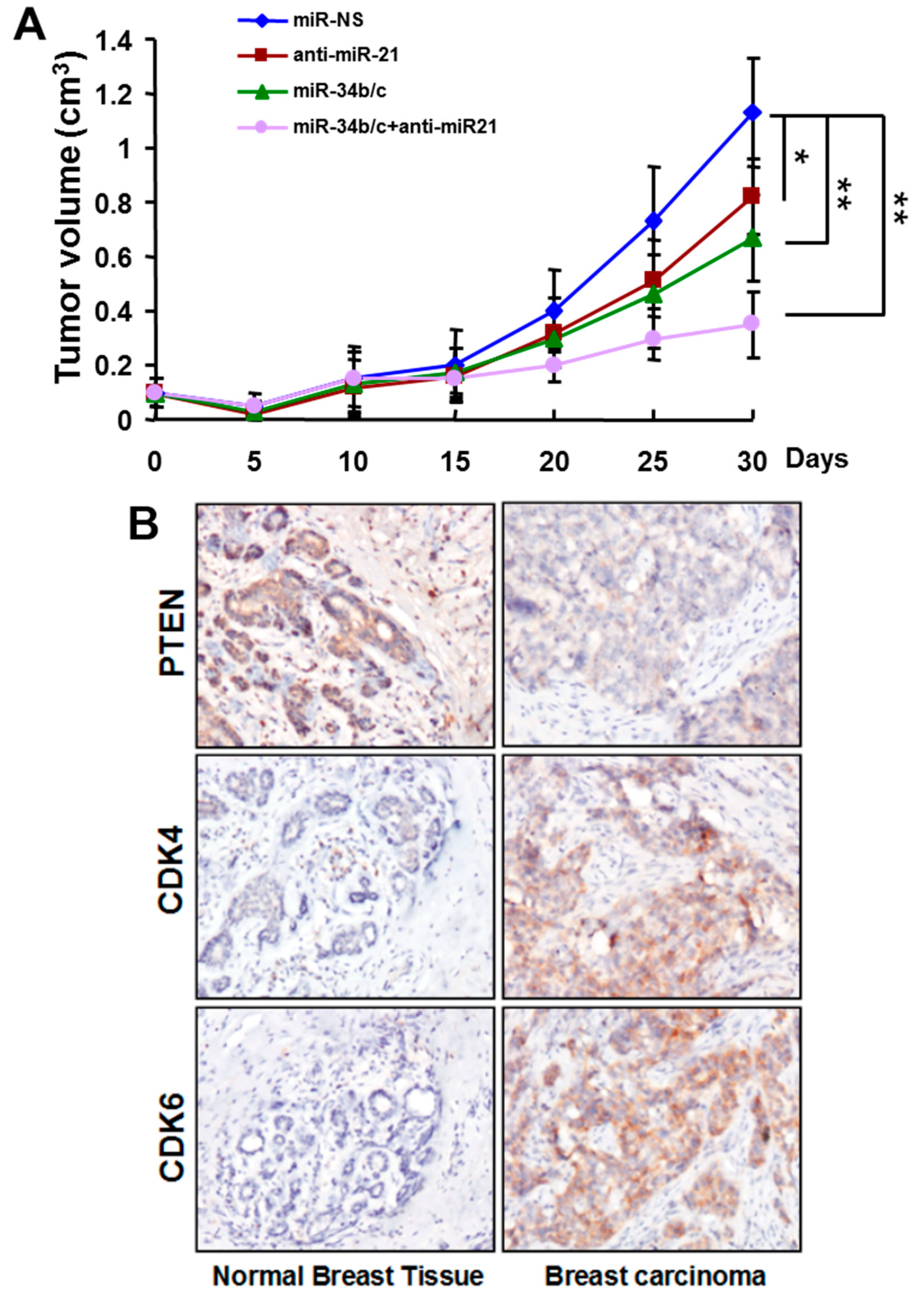 Ijms 16 03148 g002a