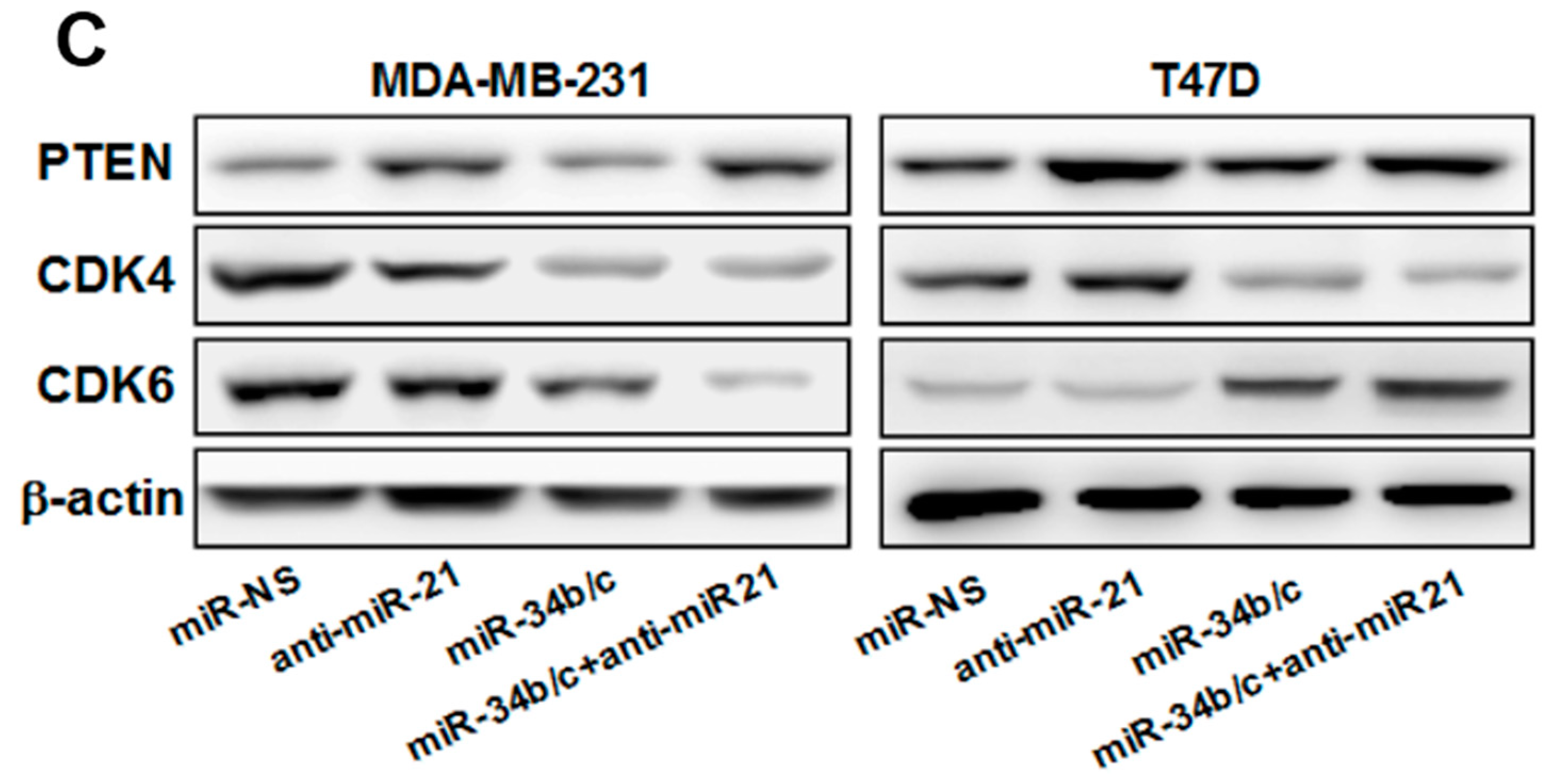 Ijms 16 03148 g002b
