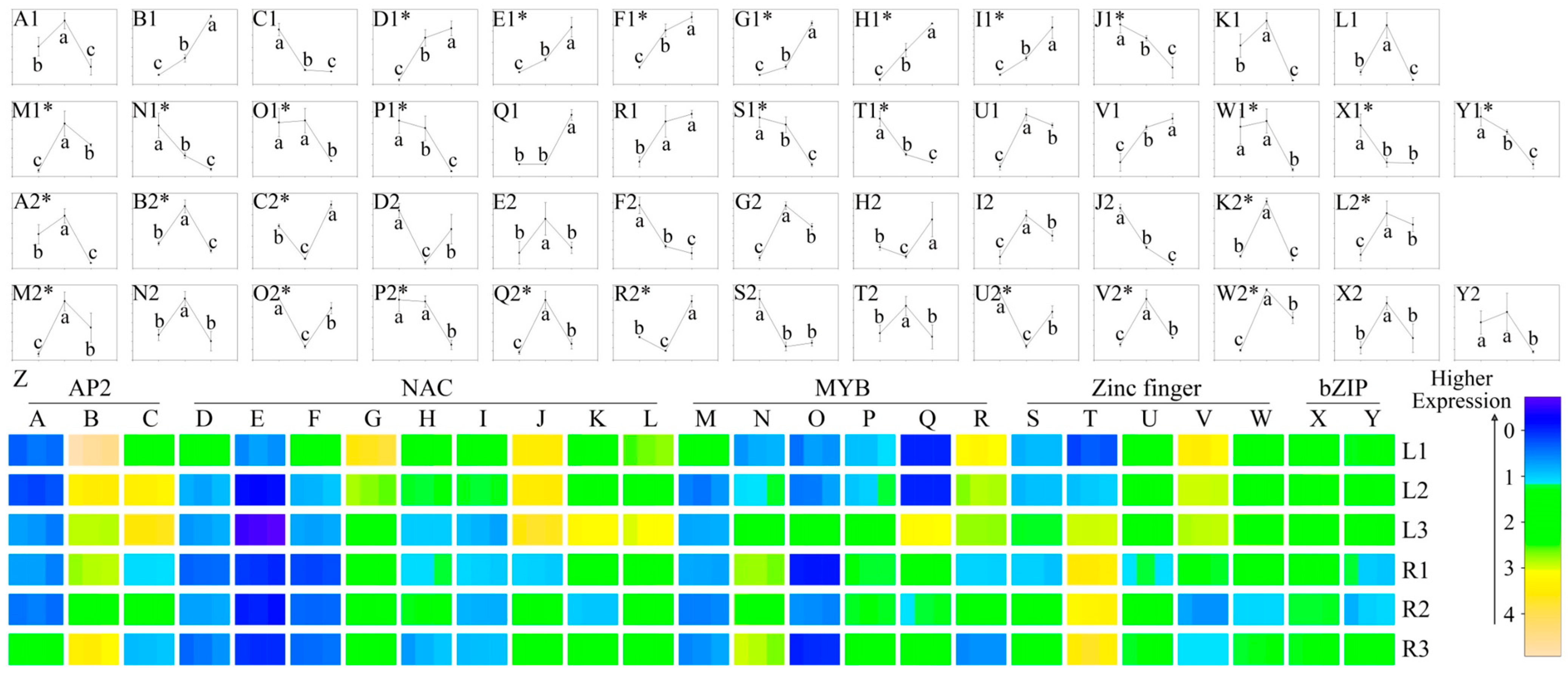 Ijms 16 03493 g006 1024