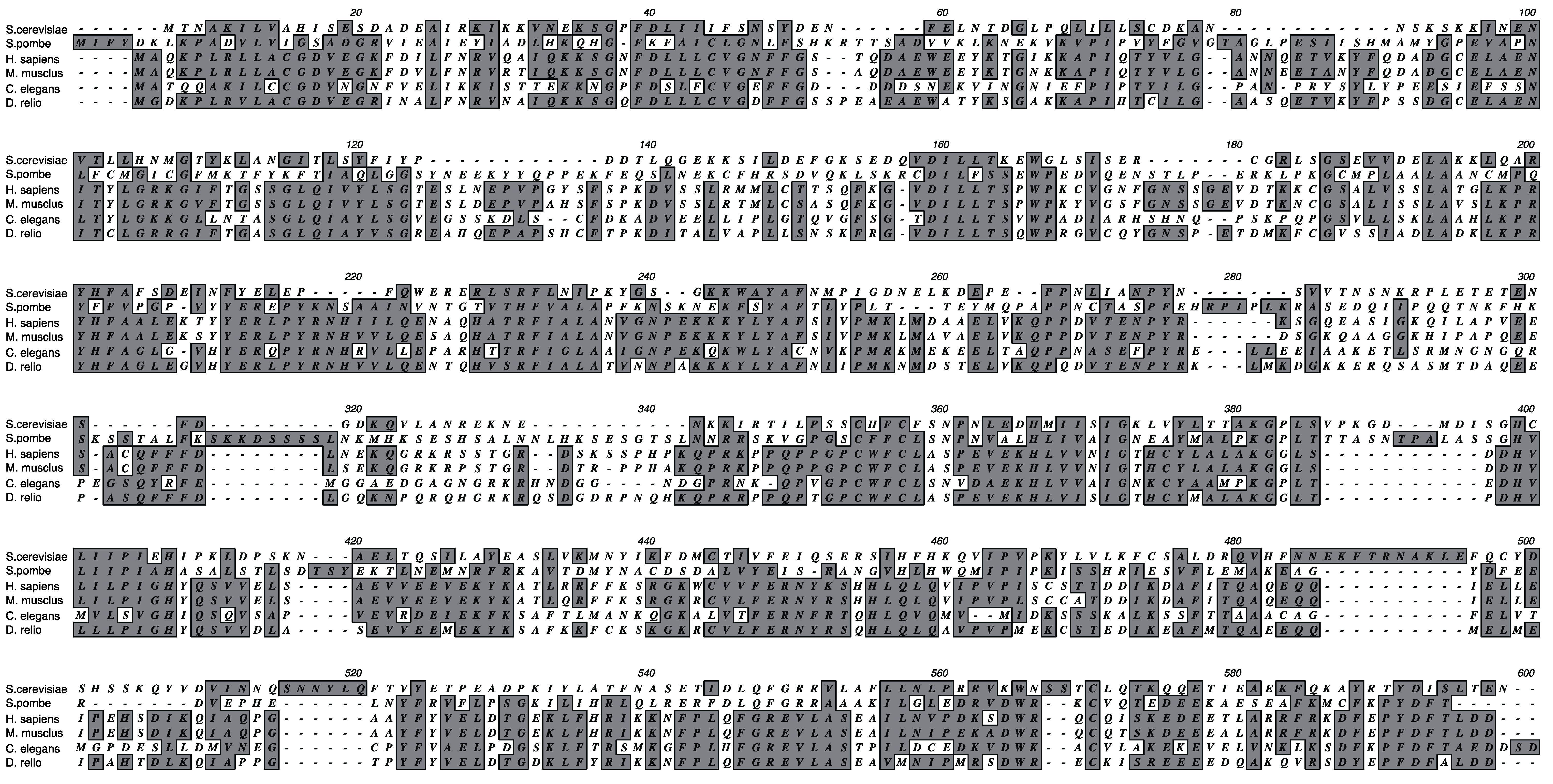 Ijms 16 03705 g003 1024