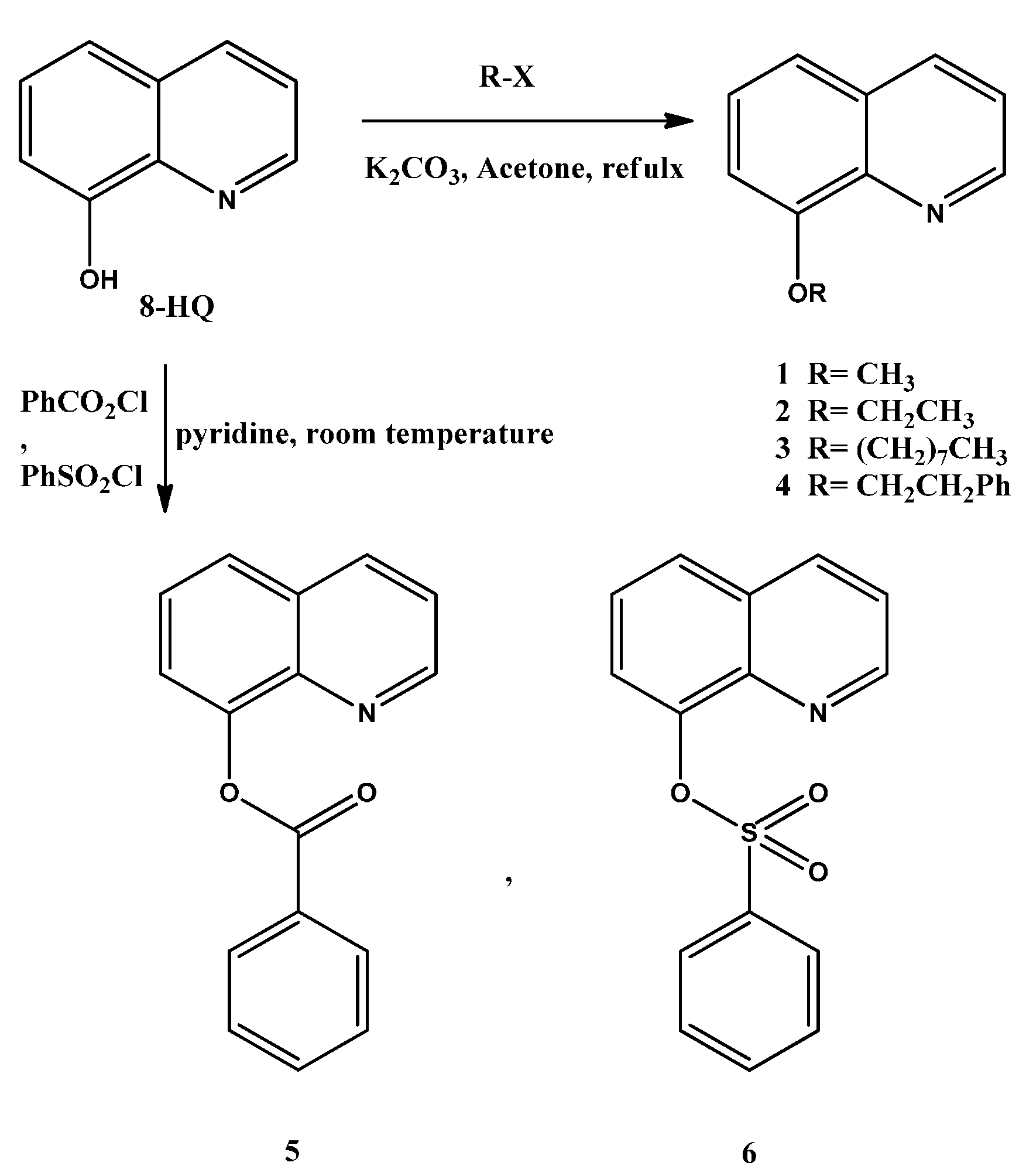 Ijms 16 03804 g007 1024