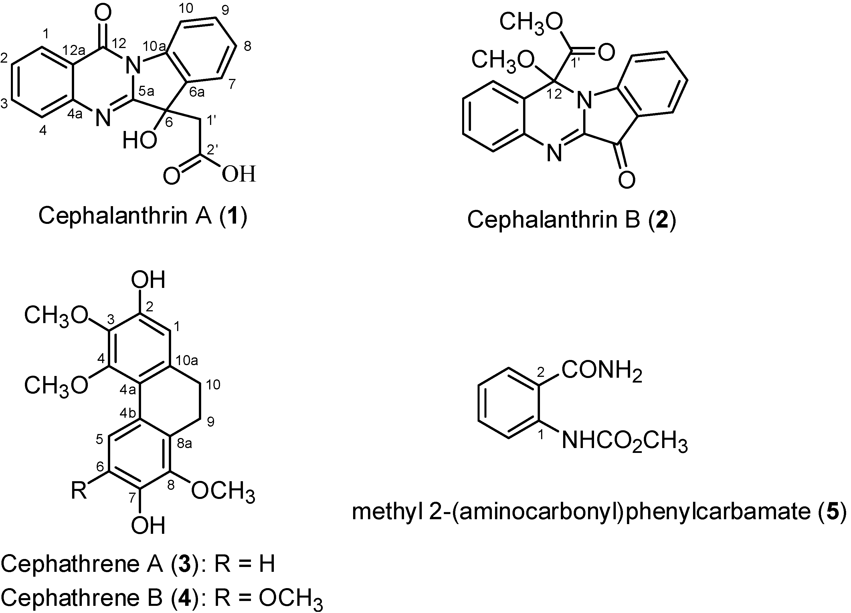 Ijms 16 03980 g001 1024