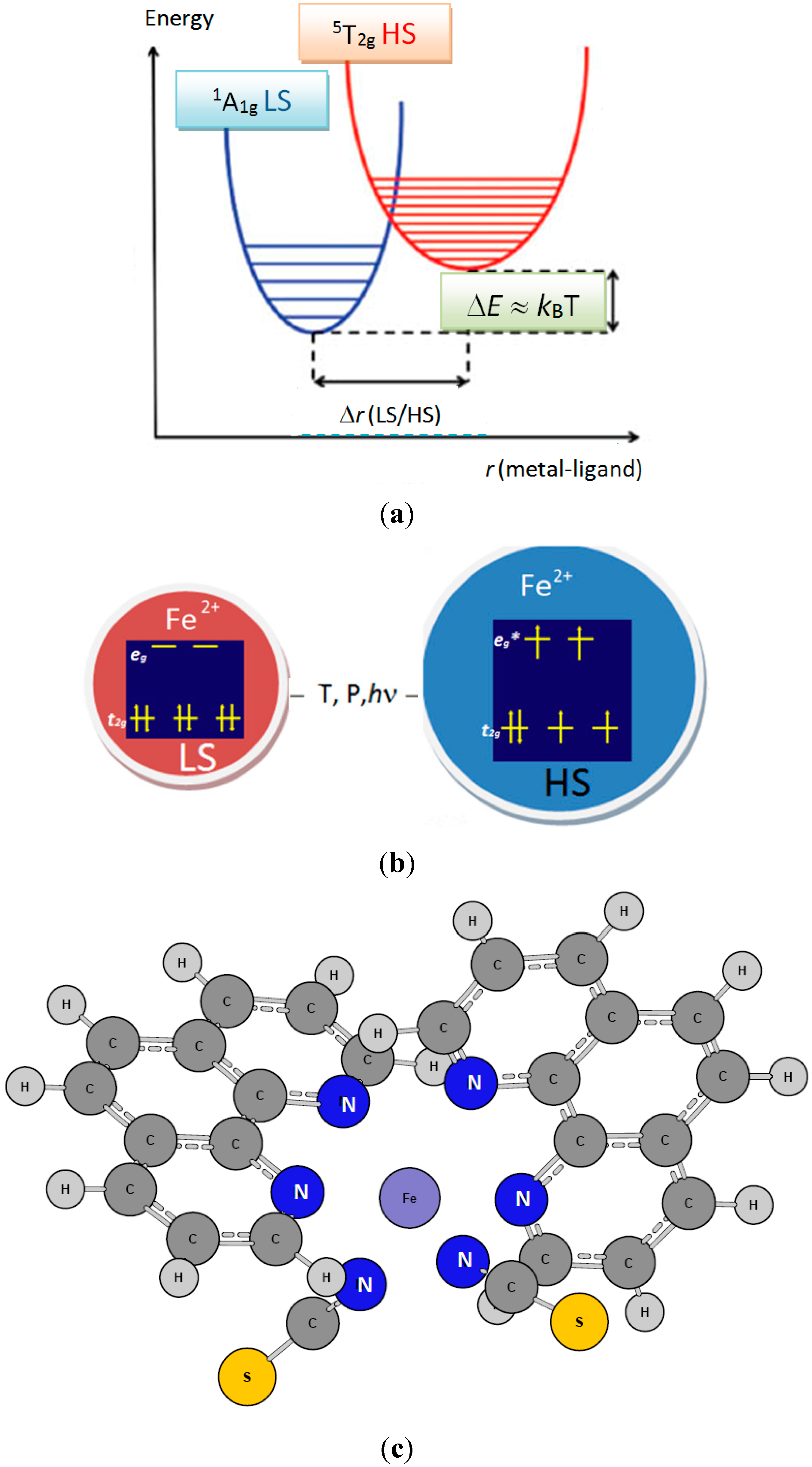 Ijms 16 04007 g001 1024