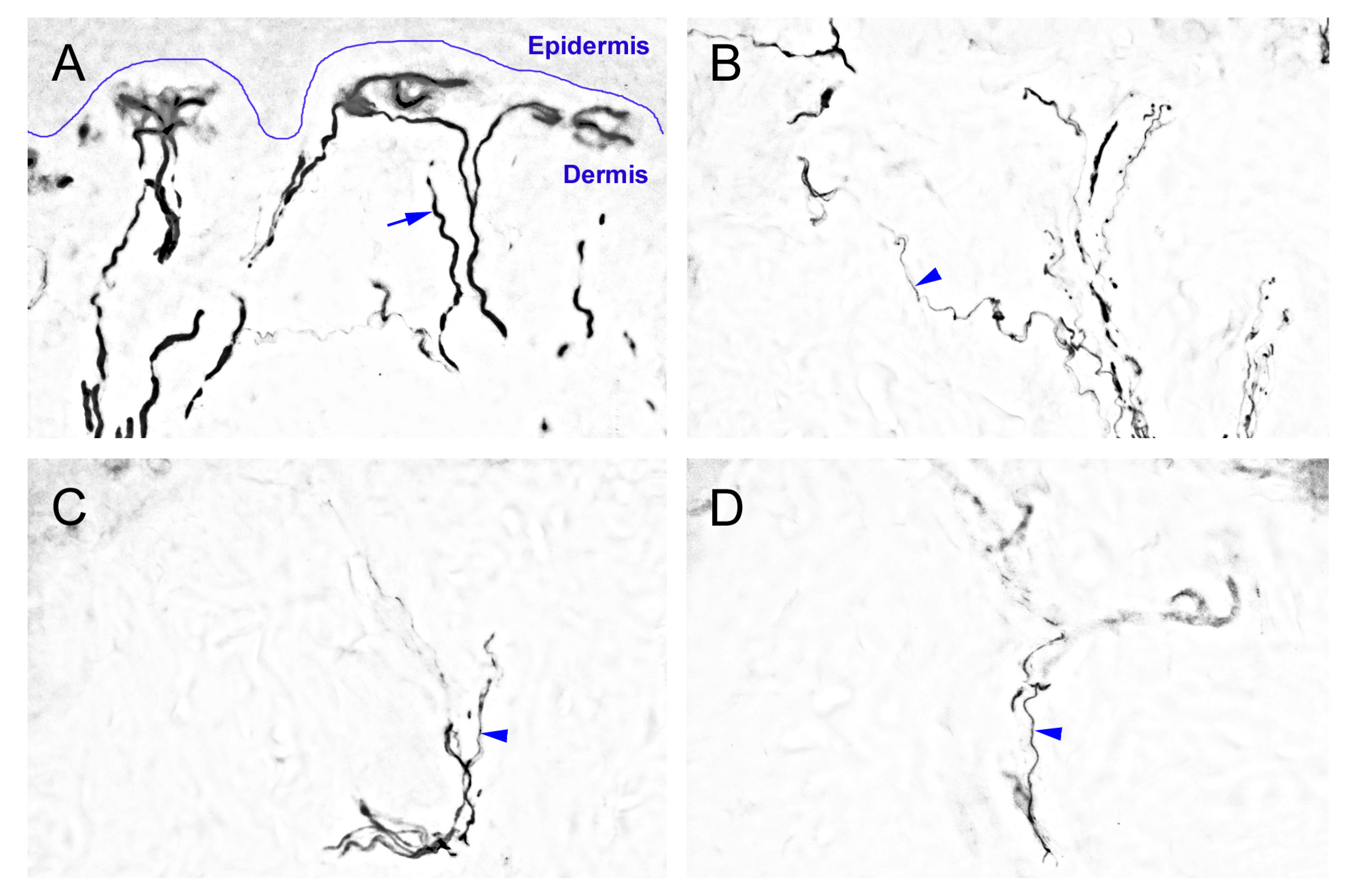Ijms 16 04642 g002a 1024
