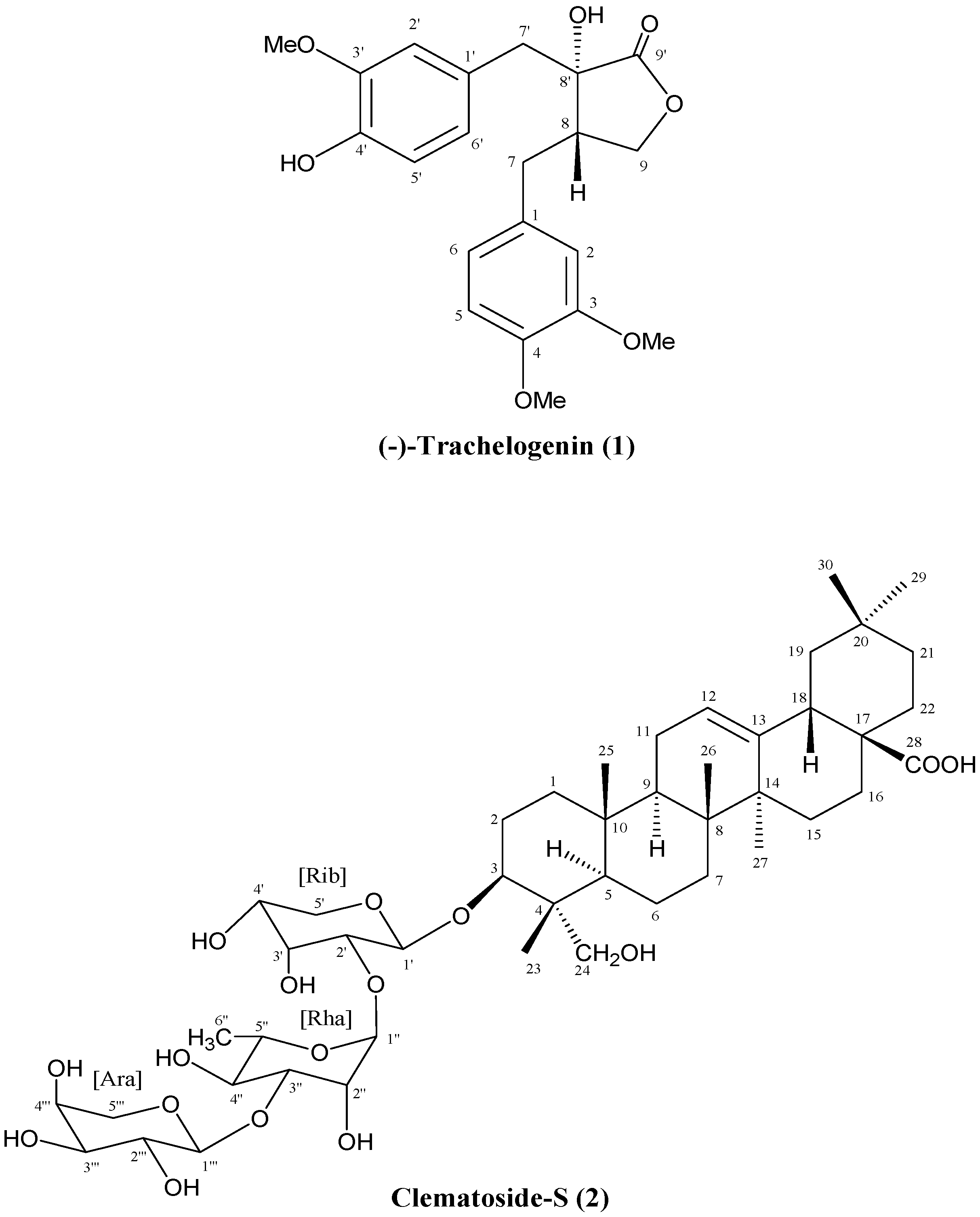 Ijms 16 04731 g001 1024