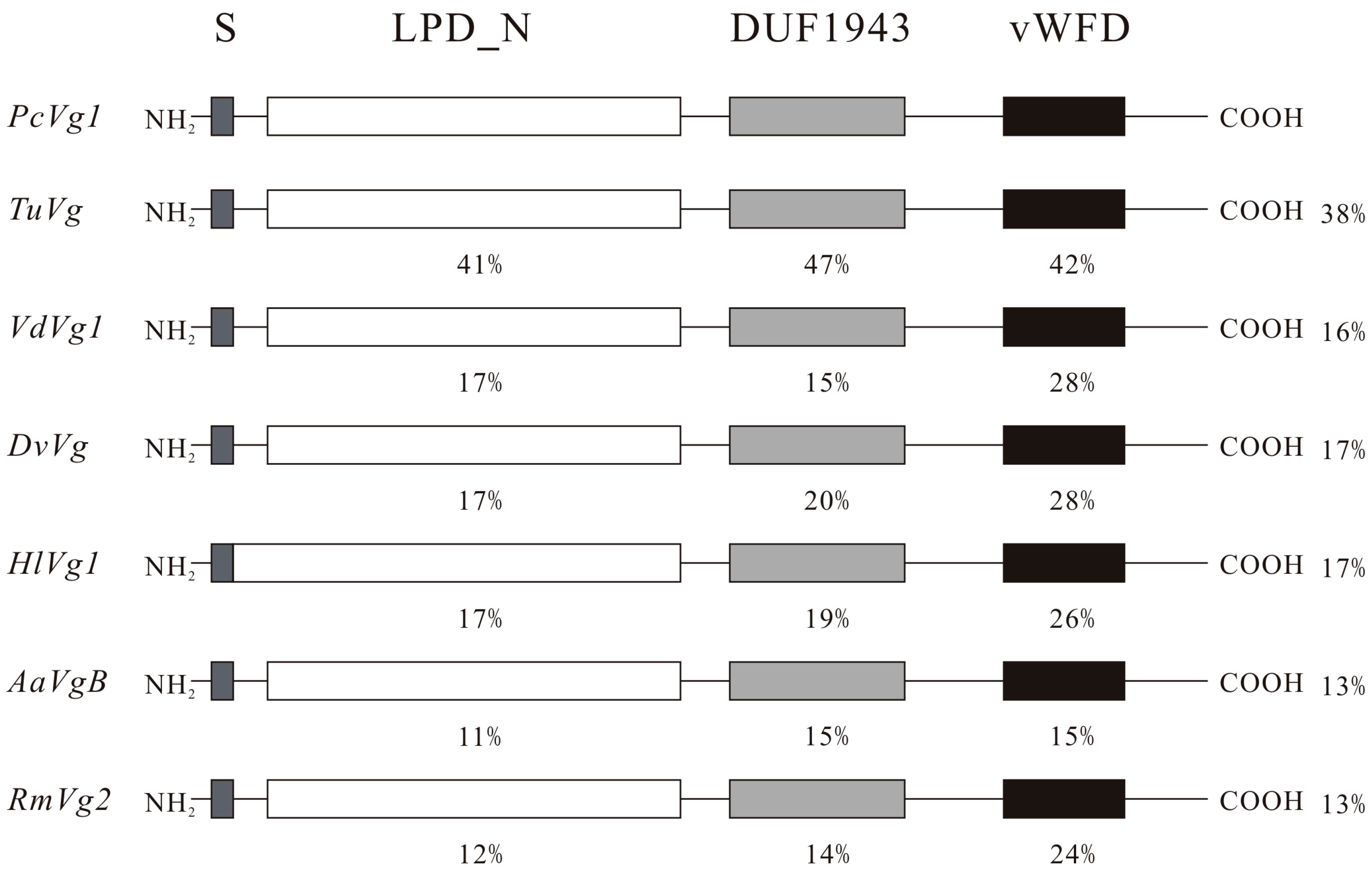 Ijms 16 04759 g001 1024