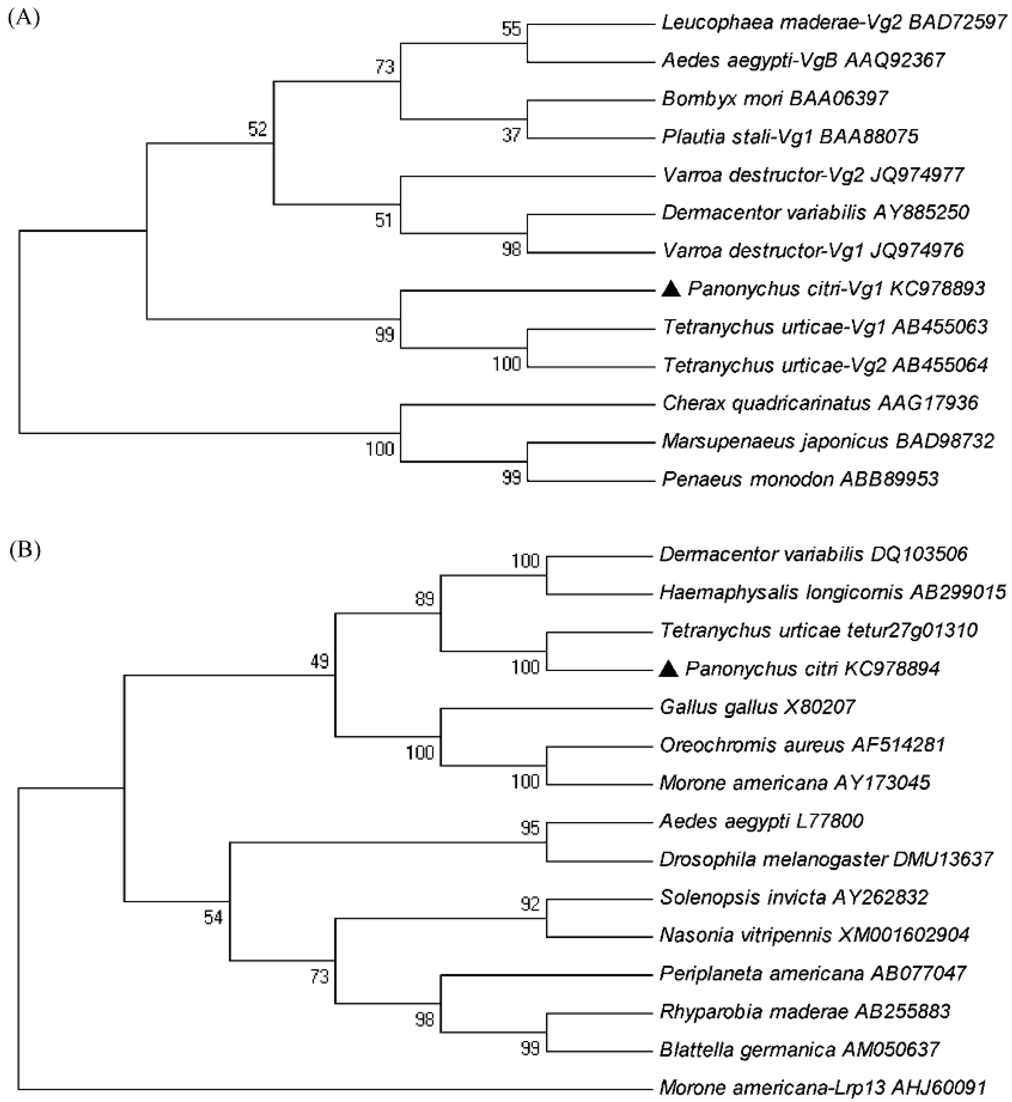 Ijms 16 04759 g003 1024