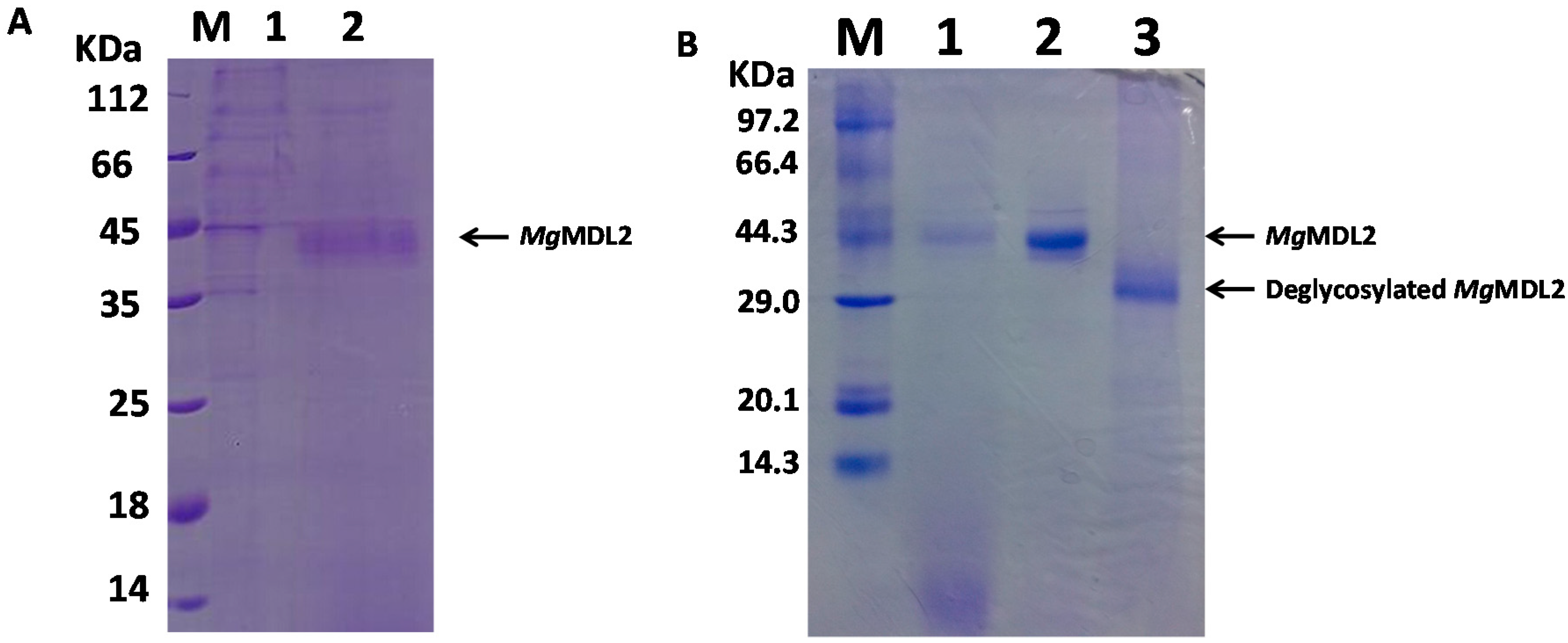 Ijms 16 04865 g002